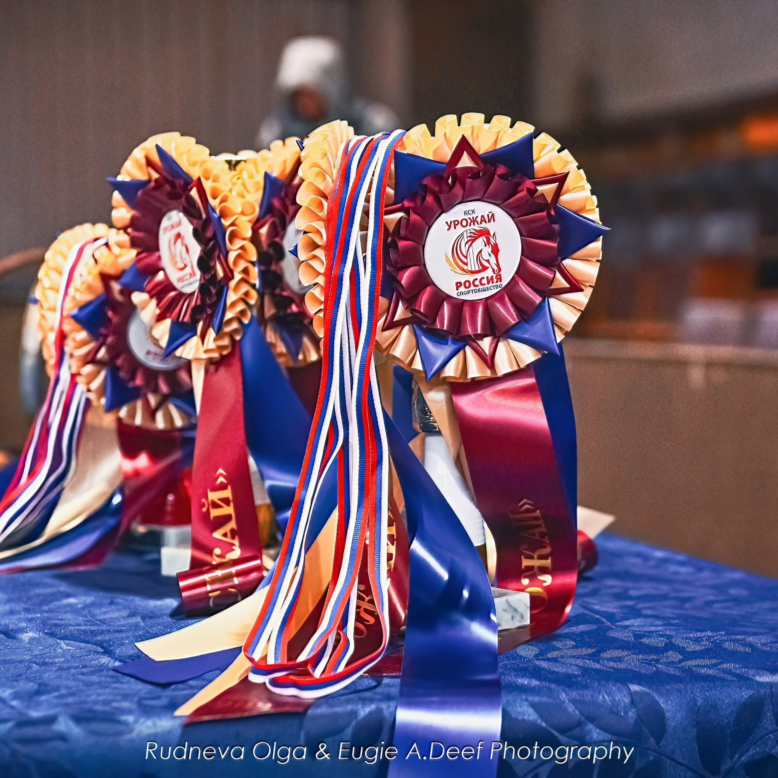 2026-04-12 КСК Урожай (выездка). ТУРНИРНАЯ КОННАЯ ФОТОГРАФИЯ, Руднева Ольга и Евгений Адеев