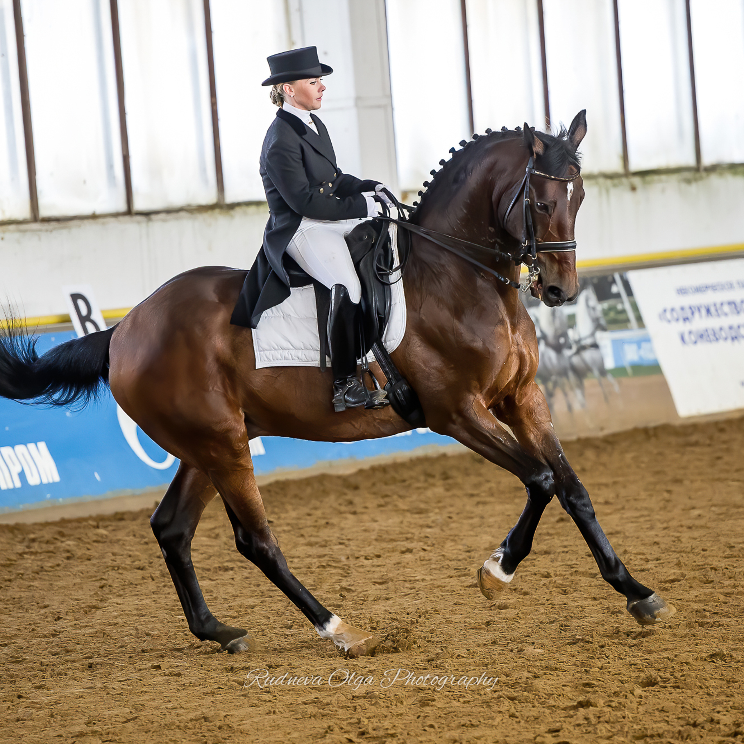 Кубок памяти И. Б. Караева (выездка) • 2015 год