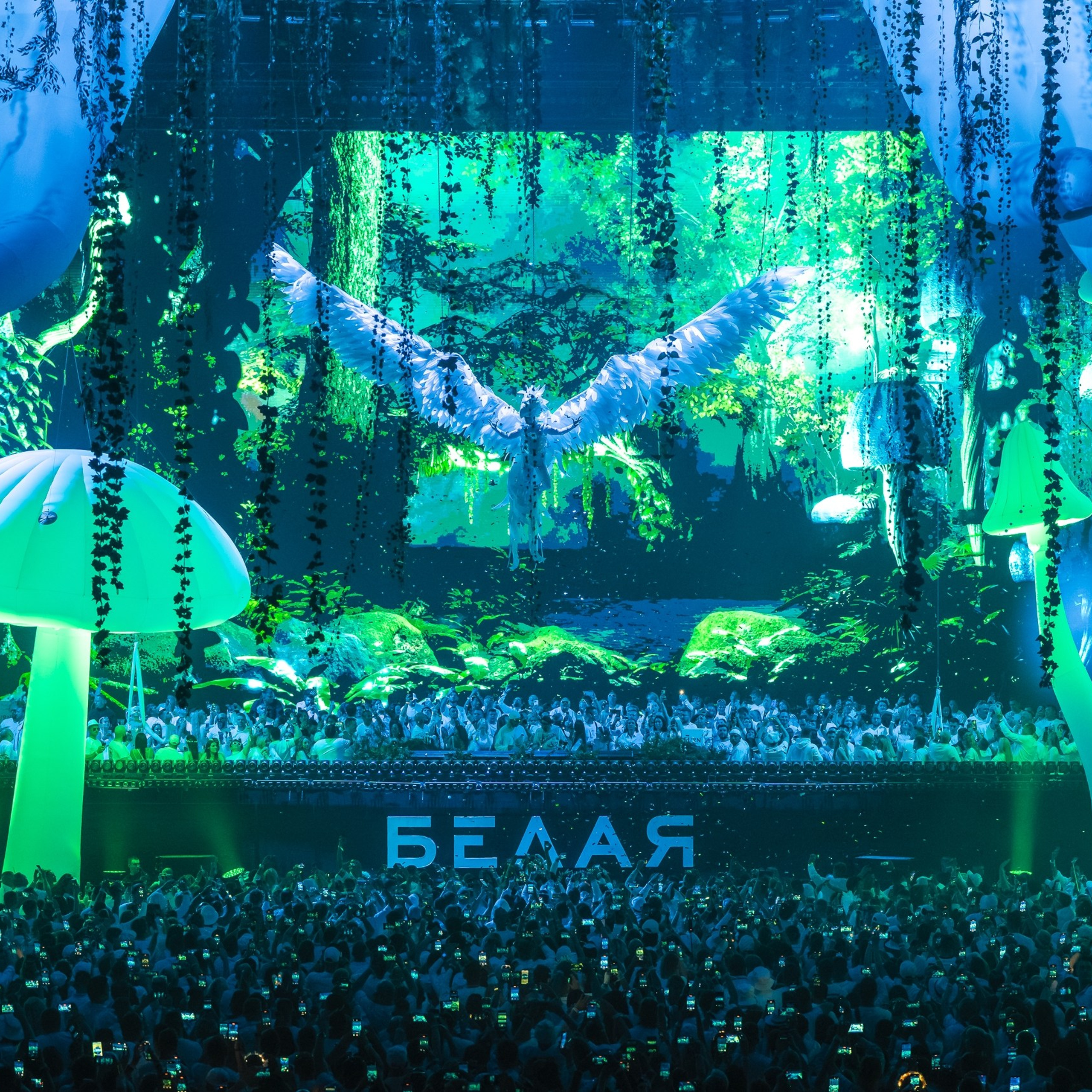 Интенсив для разработчиков Слёрм. Святослав Буньков | фотограф