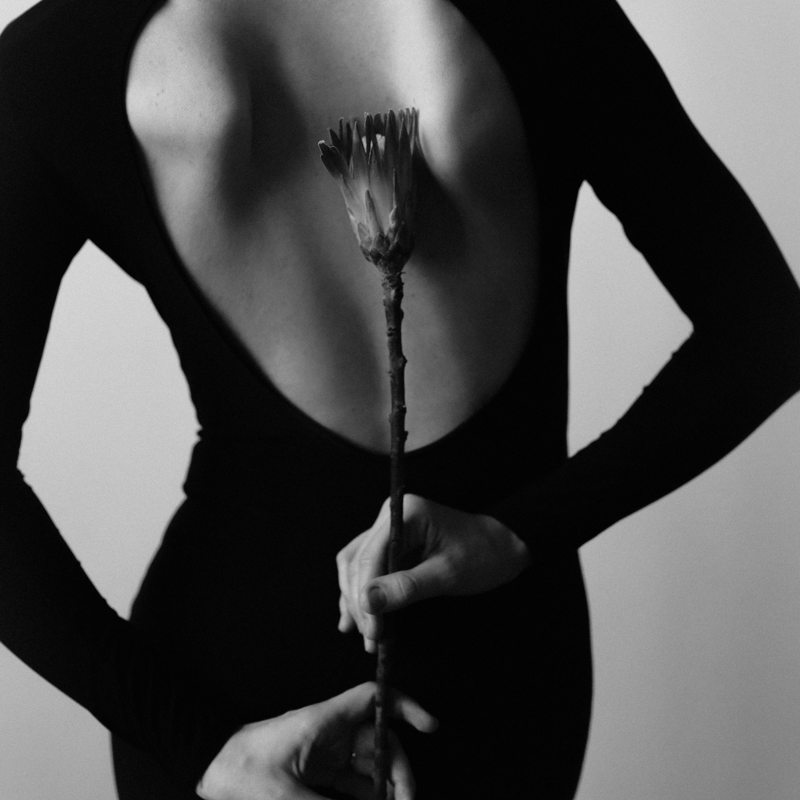 Анна Бирюкова