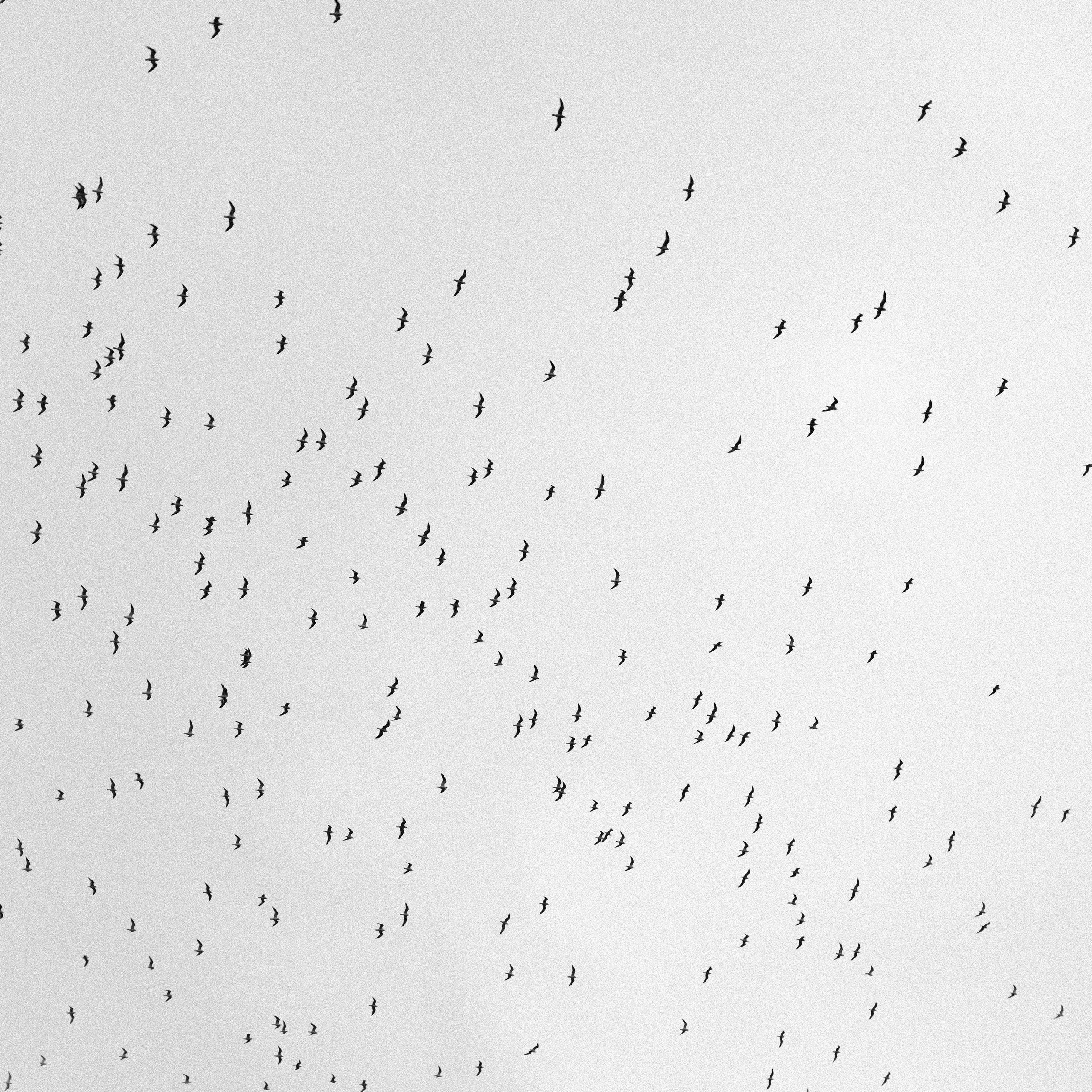 Анна Бирюкова