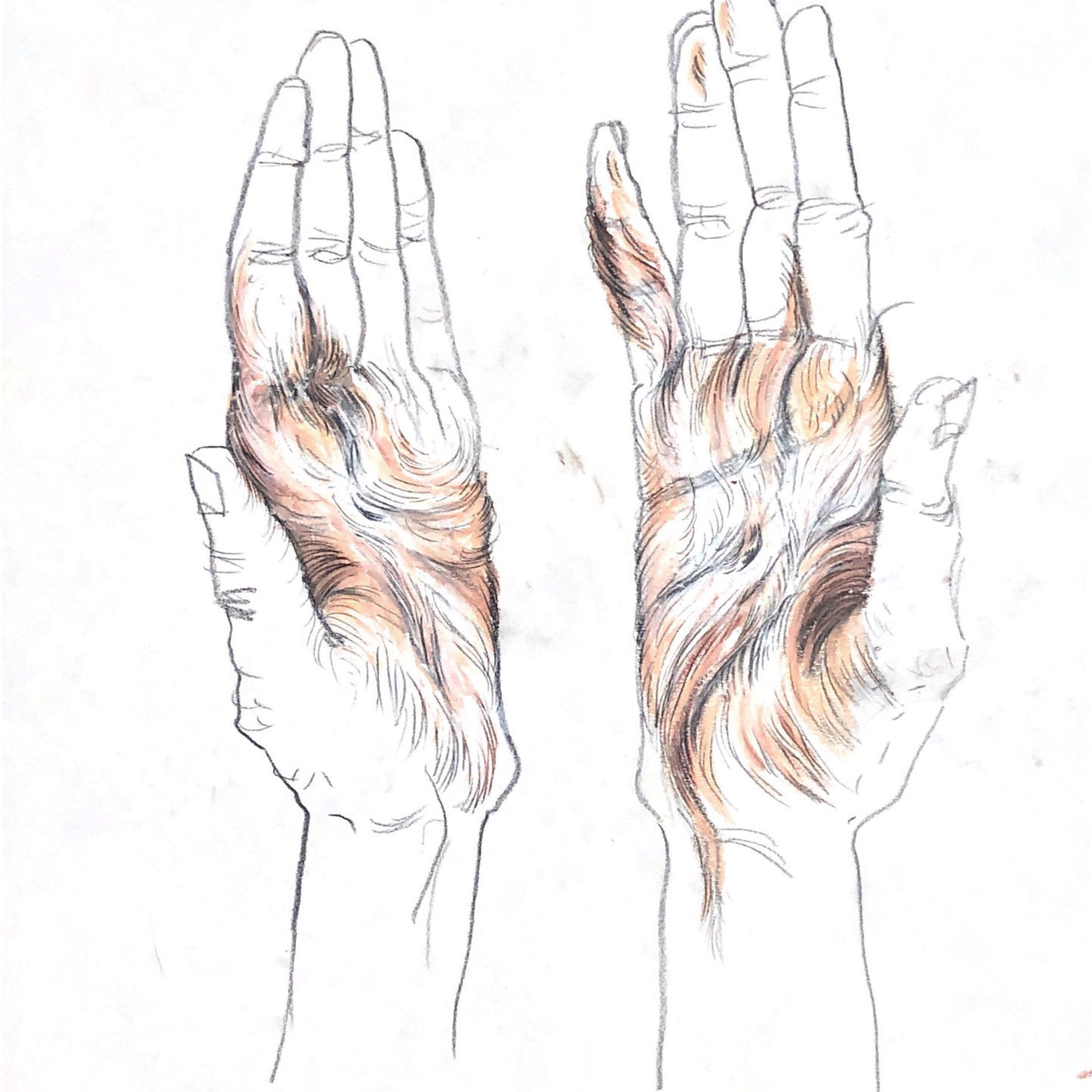 “The Empathic Trail” project, 2021. Ksenia Markelova, multidisciplinary artist, Yekaterinburg