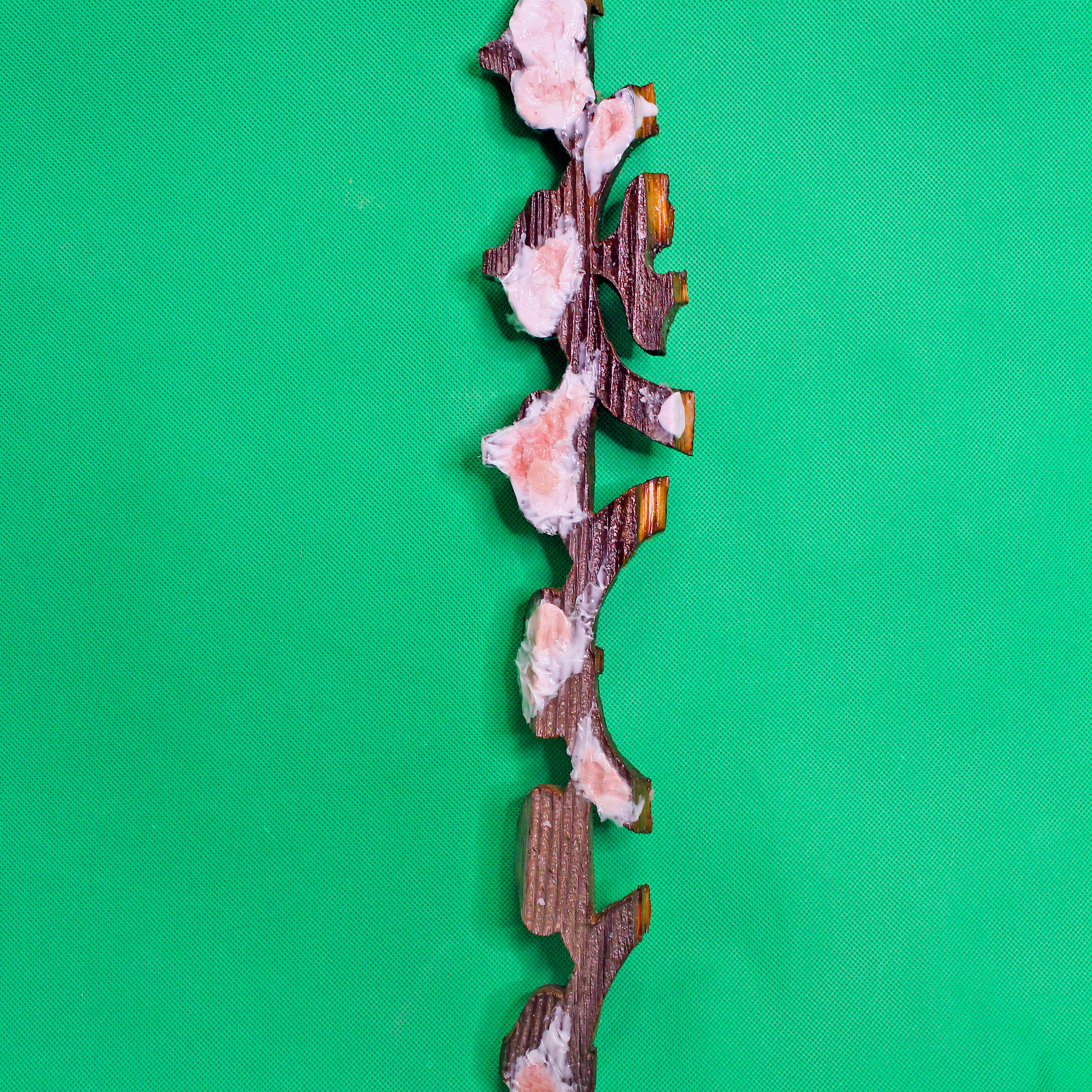 “The Empathic Trail” project, 2021. Ksenia Markelova, multidisciplinary artist, Yekaterinburg