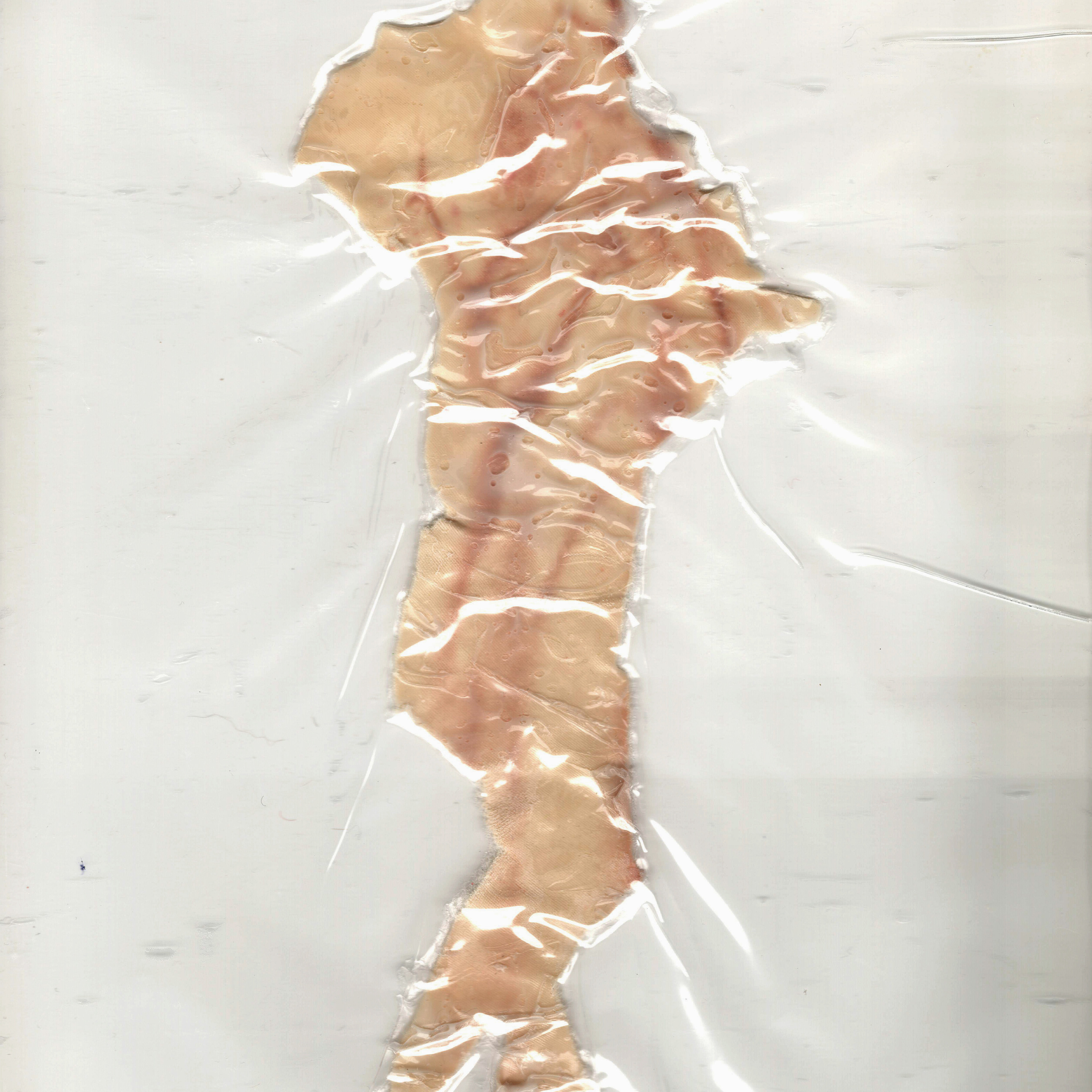 “The Empathic Trail” project, 2021. Ksenia Markelova, multidisciplinary artist, Yekaterinburg