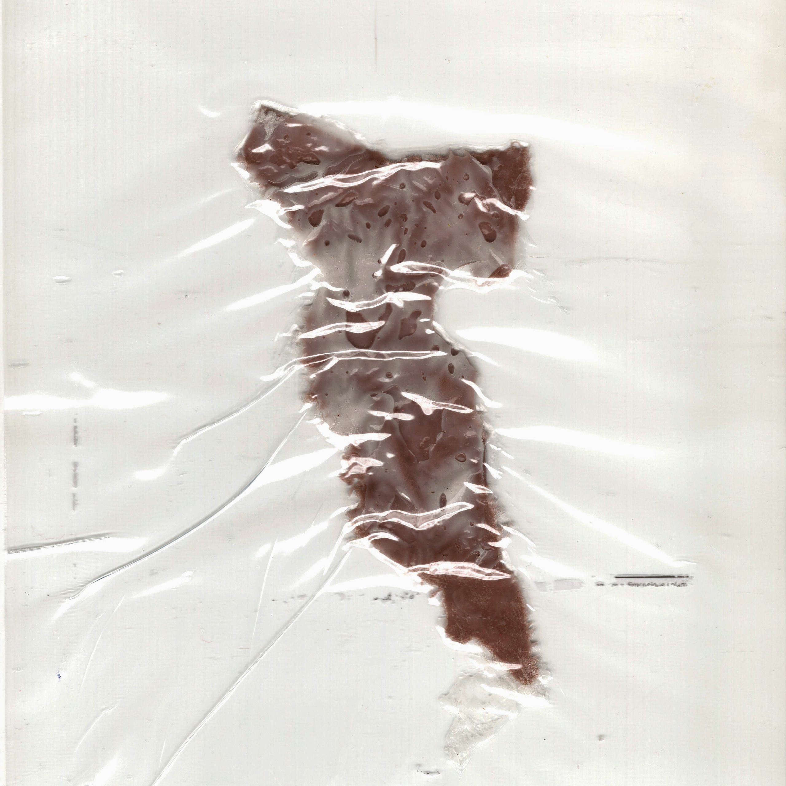 “The Empathic Trail” project, 2021. Ksenia Markelova, multidisciplinary artist, Yekaterinburg