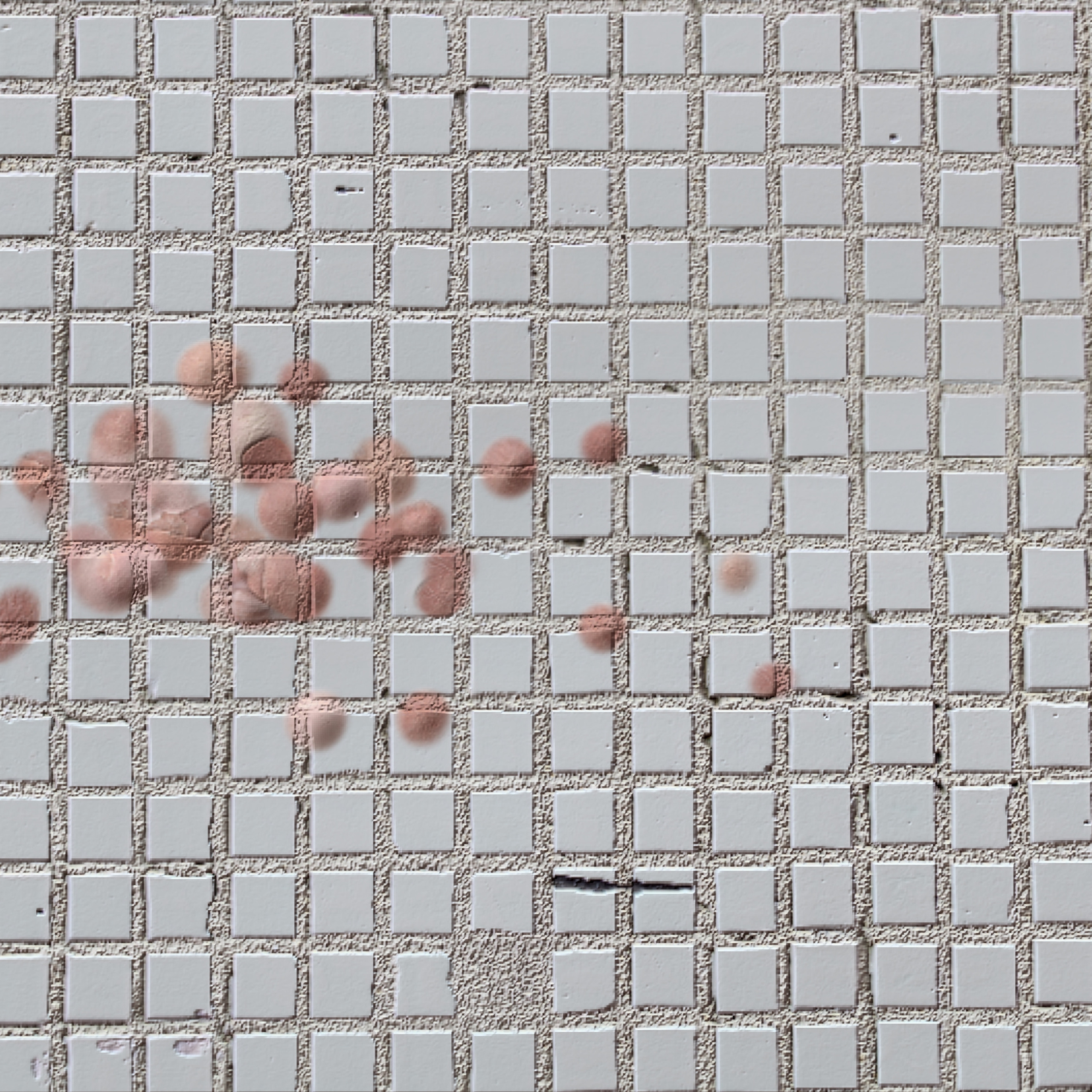 “The Empathic Trail” project, 2021. Ksenia Markelova, multidisciplinary artist, Yekaterinburg