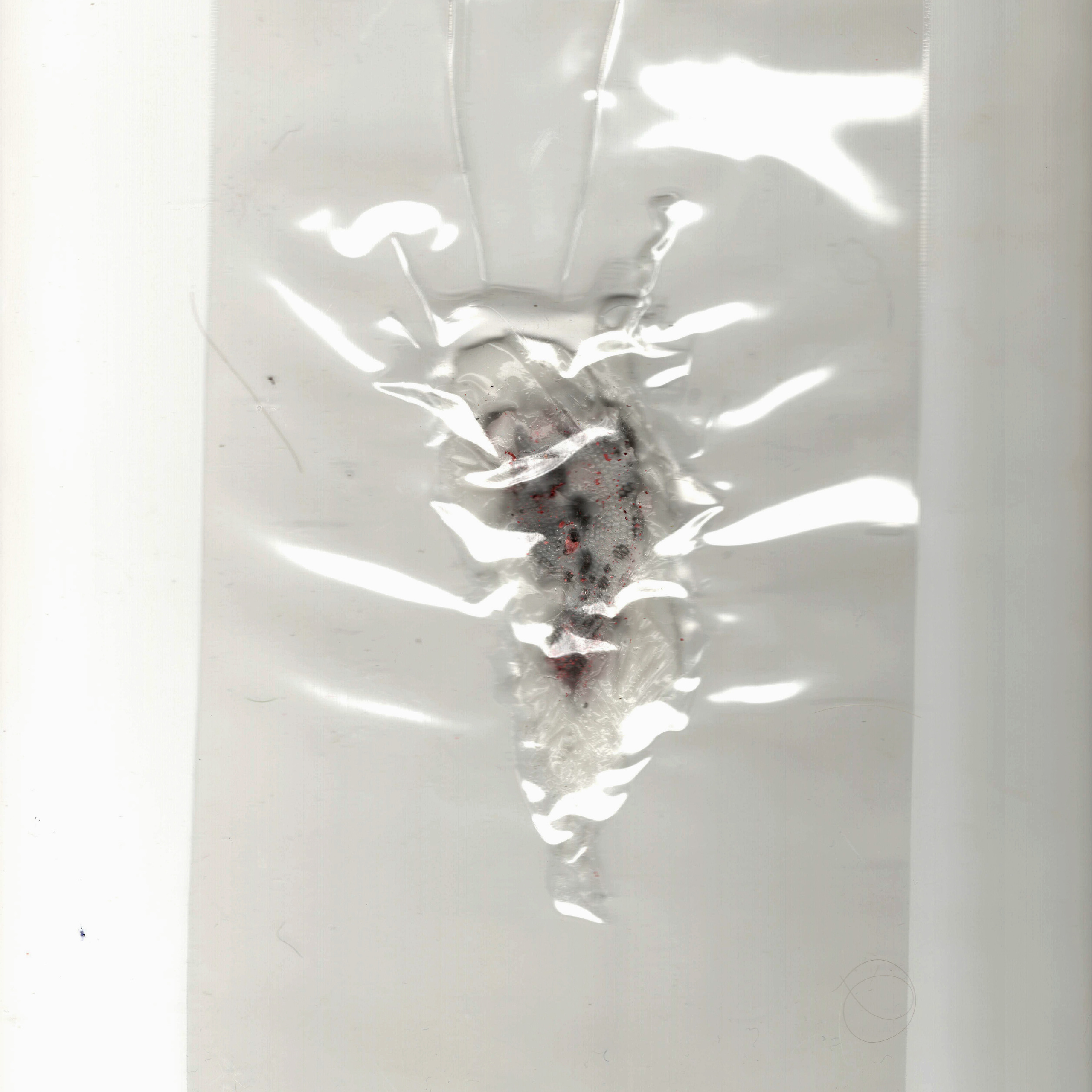 “The Empathic Trail” project, 2021. Ksenia Markelova, multidisciplinary artist, Yekaterinburg