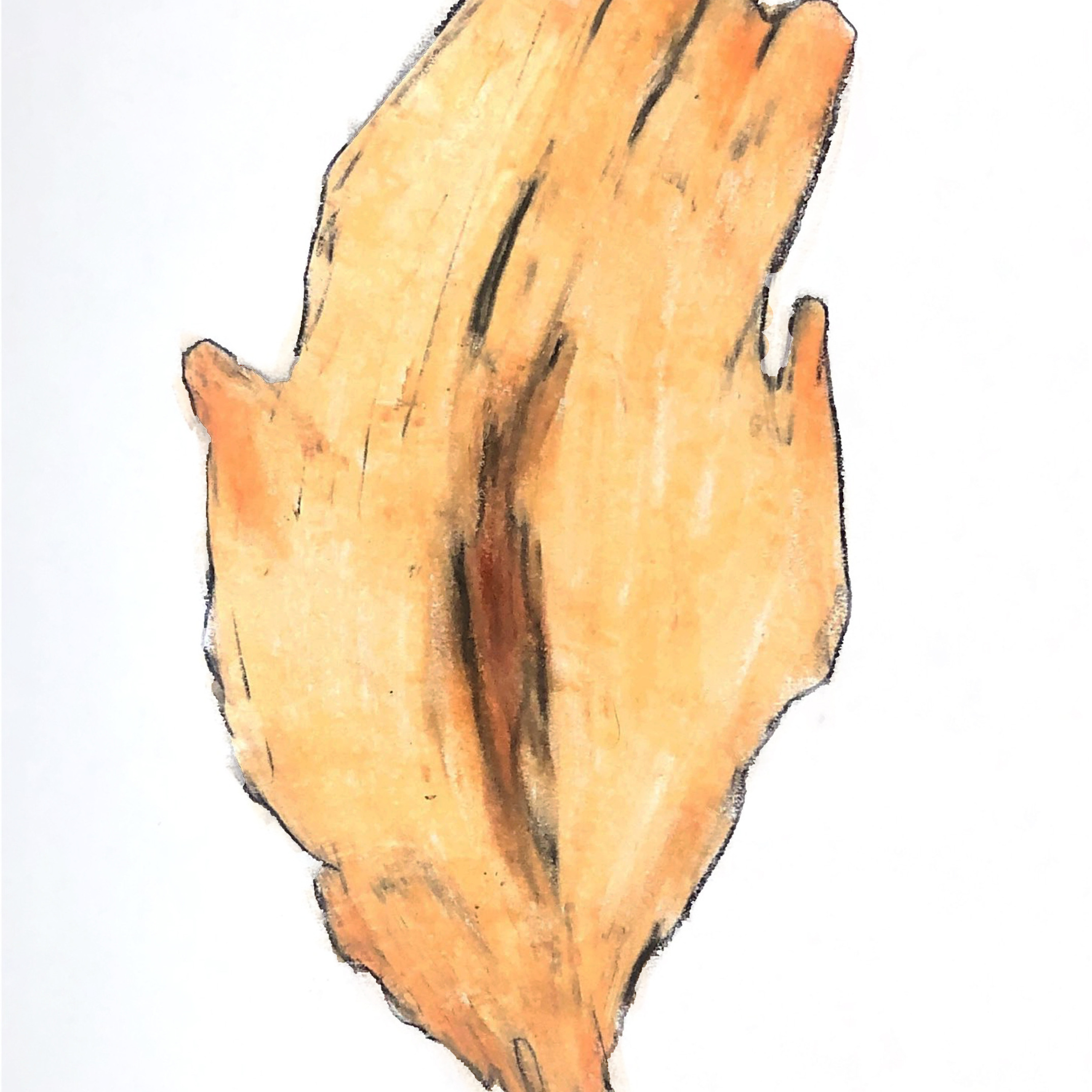 “The Empathic Trail” project, 2021. Ksenia Markelova, multidisciplinary artist, Yekaterinburg