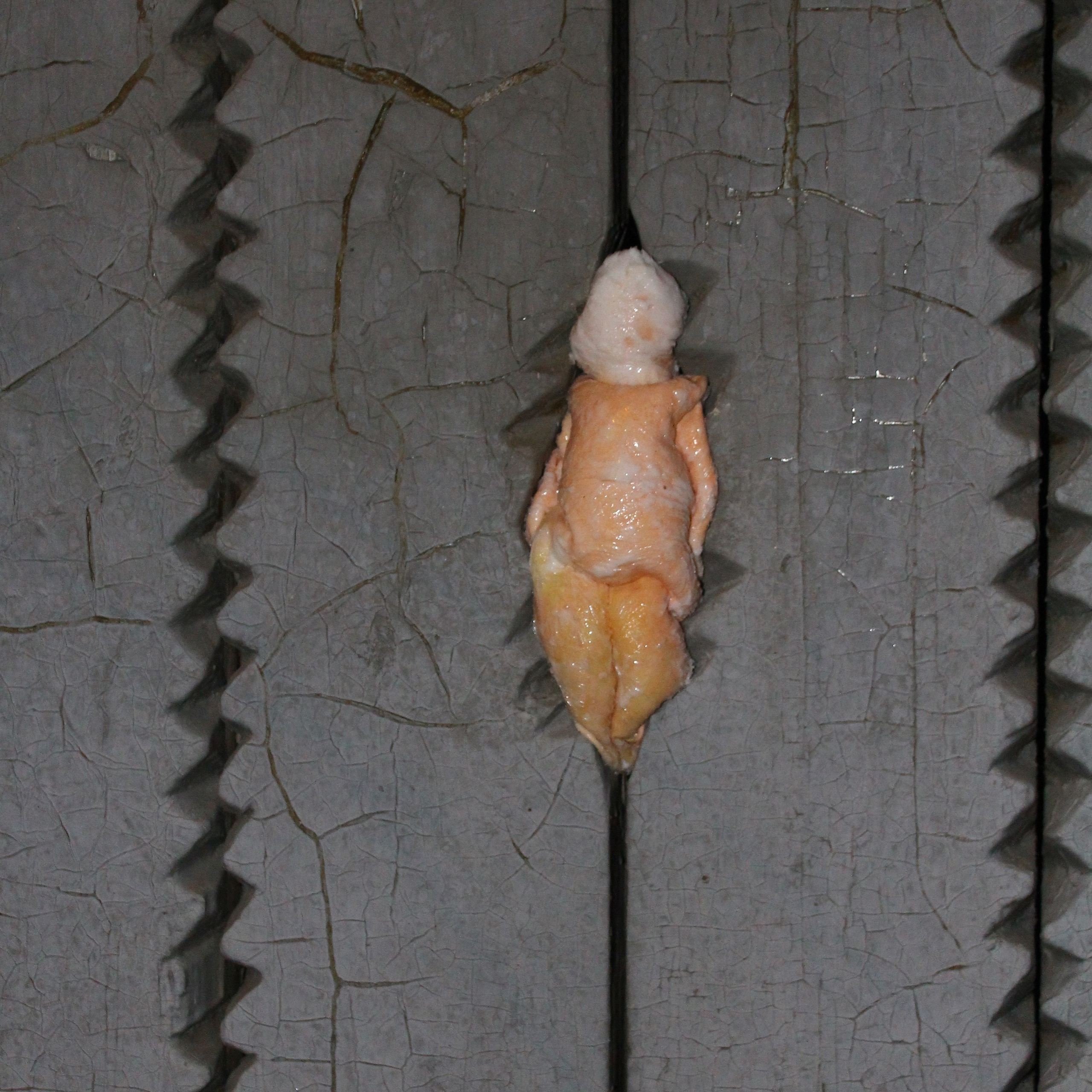 Squeezed Figures, 2020. Ksenia Markelova, multidisciplinary artist, Yekaterinburg