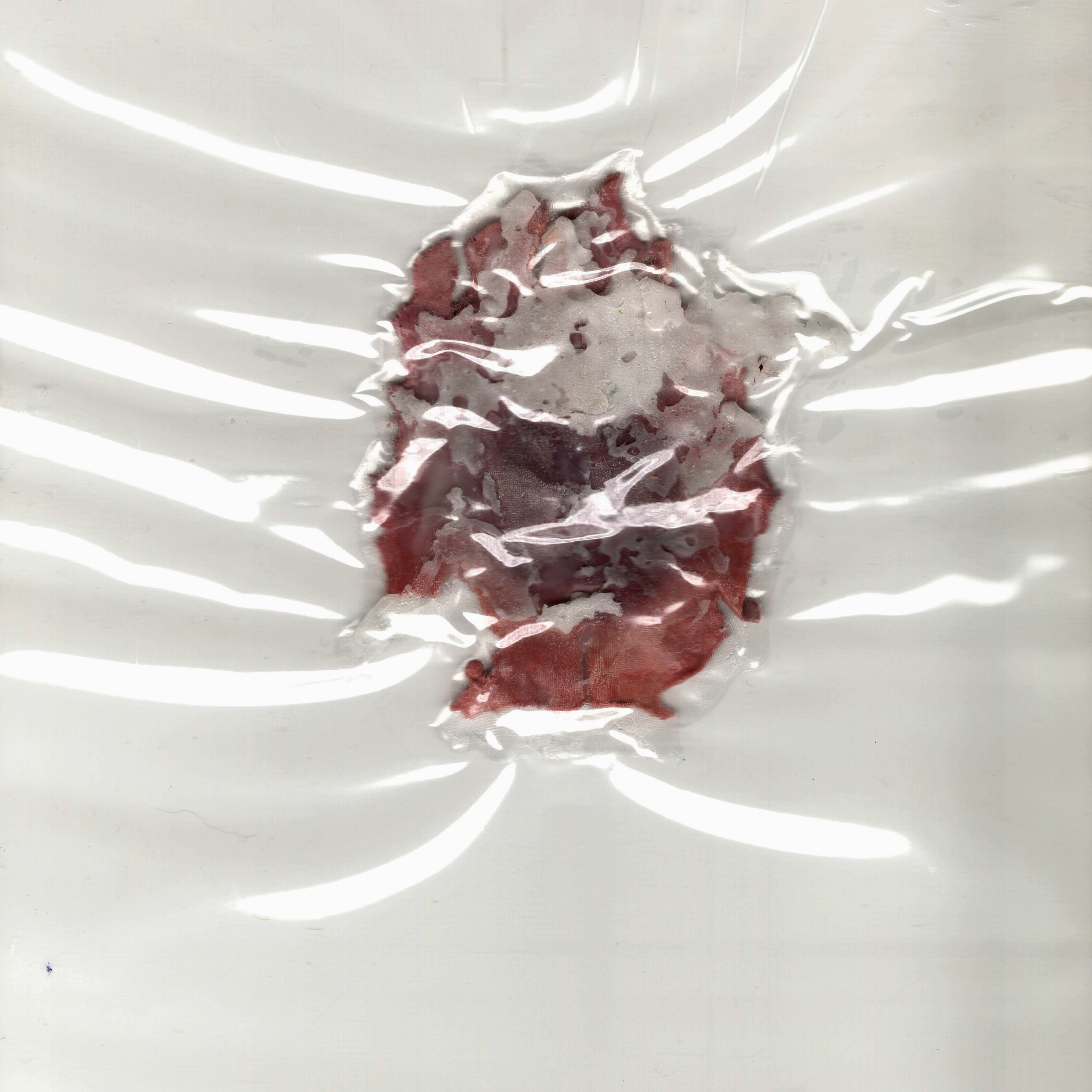 “The Empathic Trail” project, 2021. Ksenia Markelova, multidisciplinary artist, Yekaterinburg