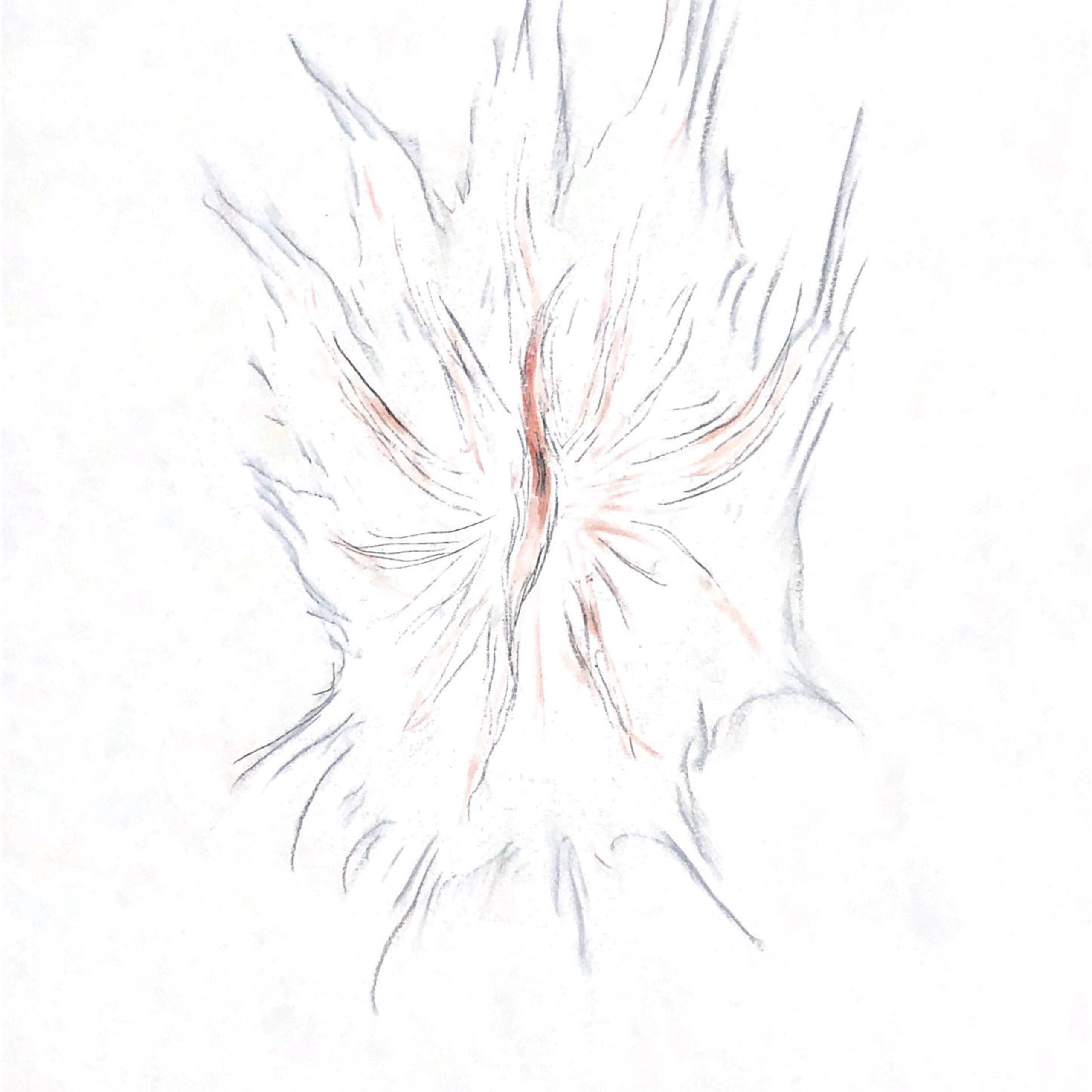 “The Empathic Trail” project, 2021. Ksenia Markelova, multidisciplinary artist, Yekaterinburg