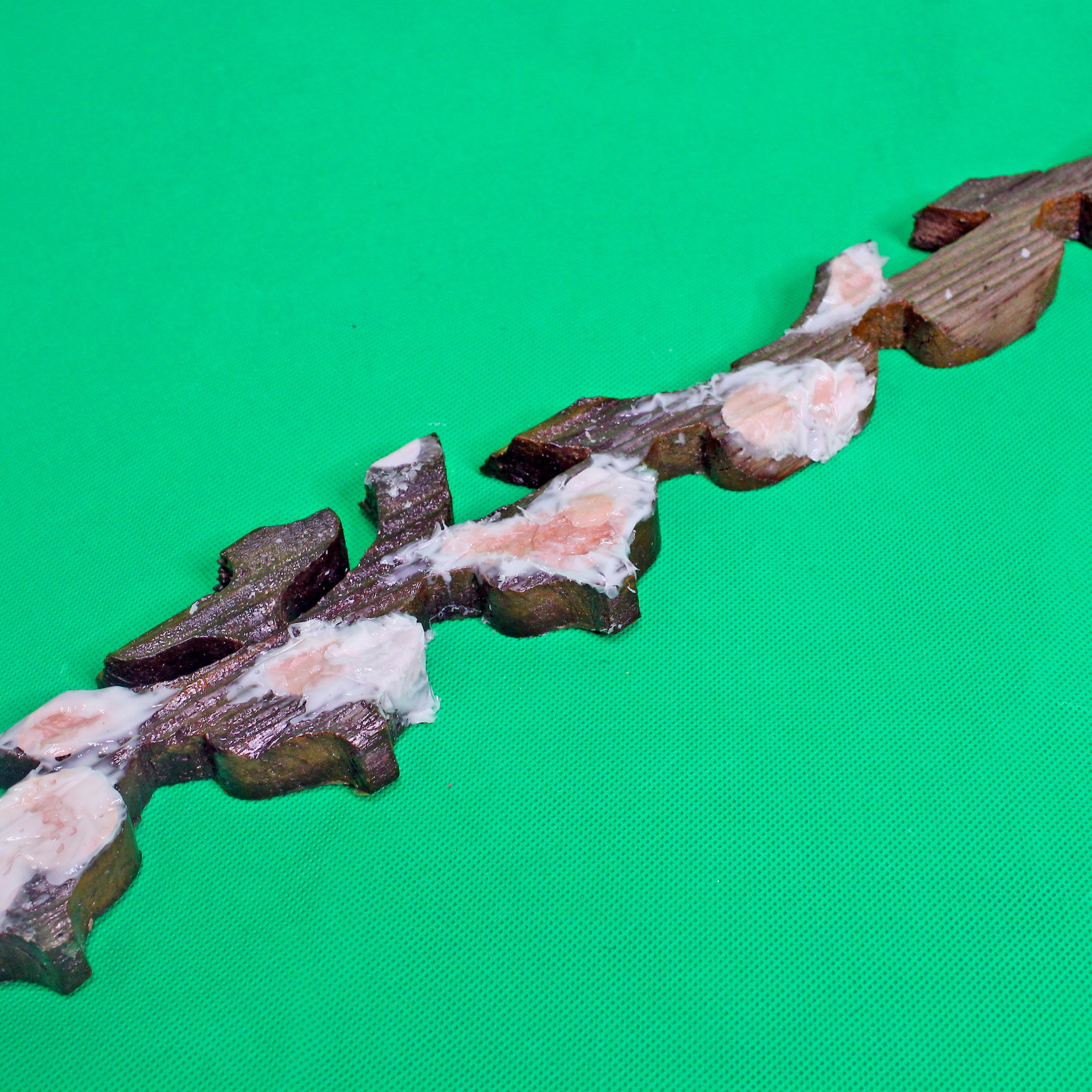 “The Empathic Trail” project, 2021. Ksenia Markelova, multidisciplinary artist, Yekaterinburg