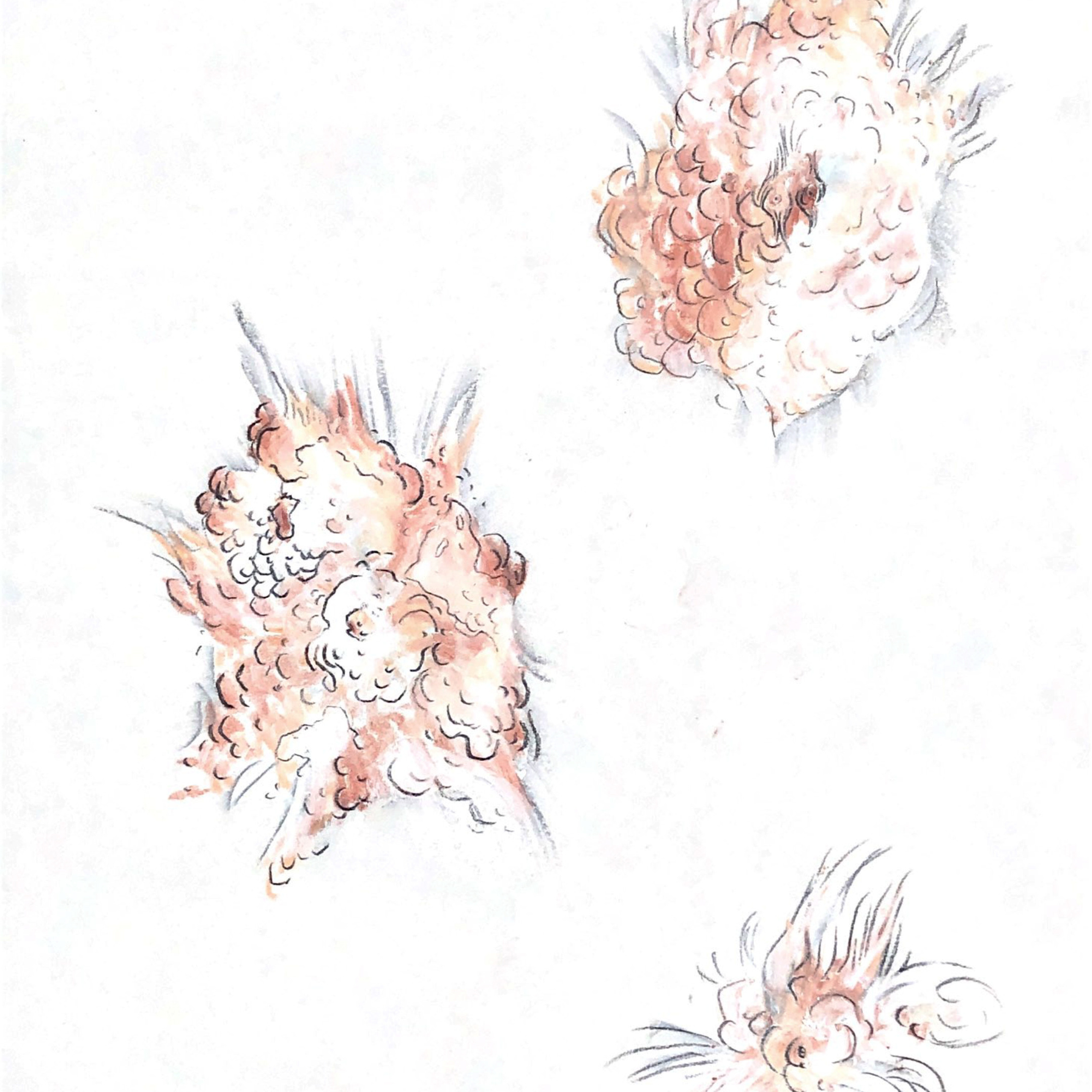 “The Empathic Trail” project, 2021. Ksenia Markelova, multidisciplinary artist, Yekaterinburg
