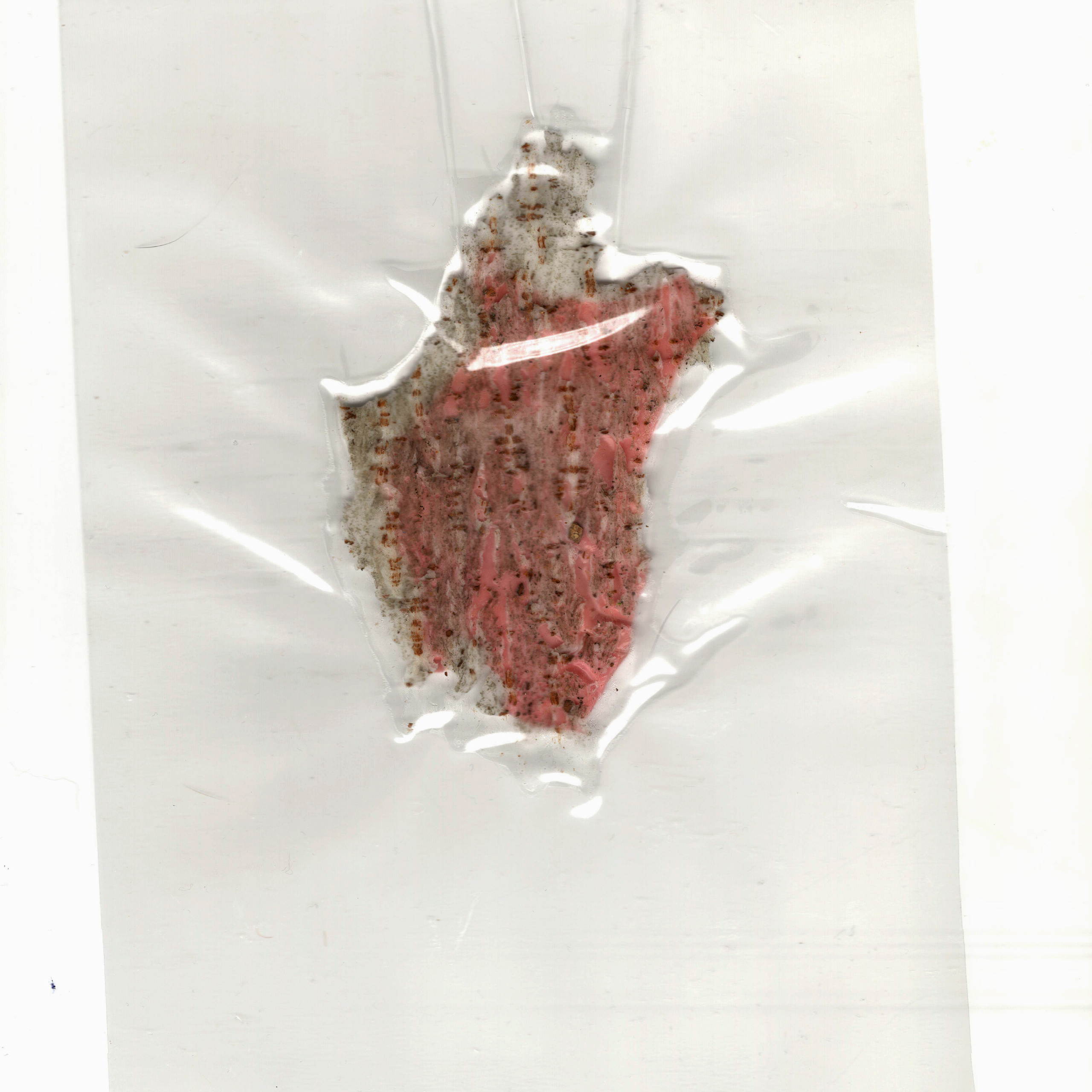 “The Empathic Trail” project, 2021. Ksenia Markelova, multidisciplinary artist, Yekaterinburg