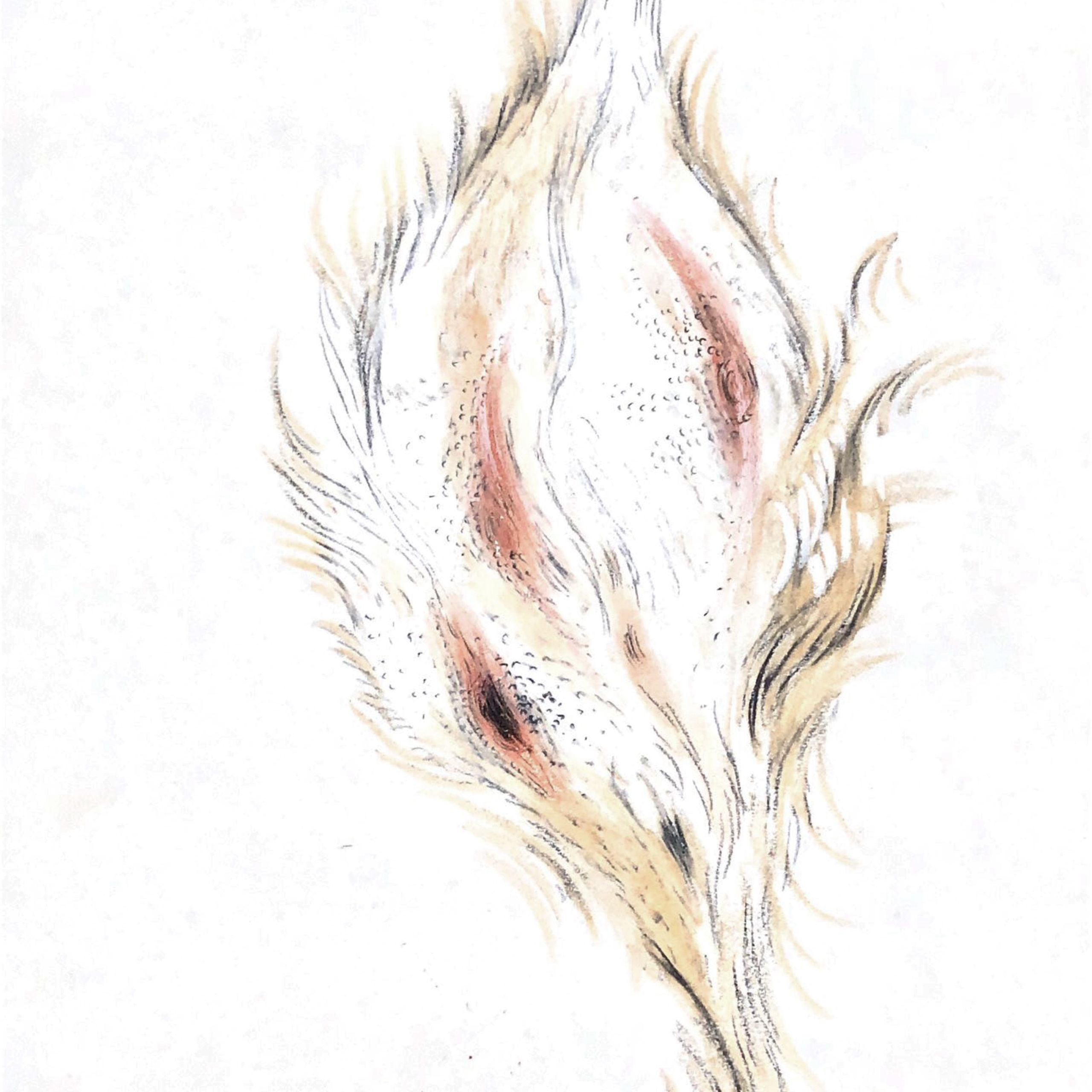 “The Empathic Trail” project, 2021. Ksenia Markelova, multidisciplinary artist, Yekaterinburg