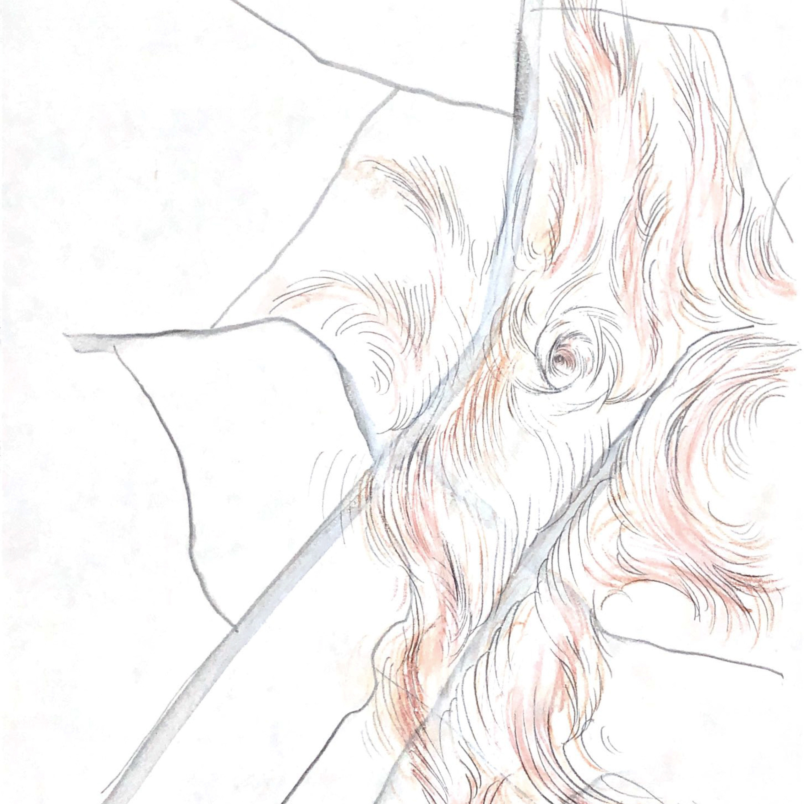 “The Empathic Trail” project, 2021. Ksenia Markelova, multidisciplinary artist, Yekaterinburg