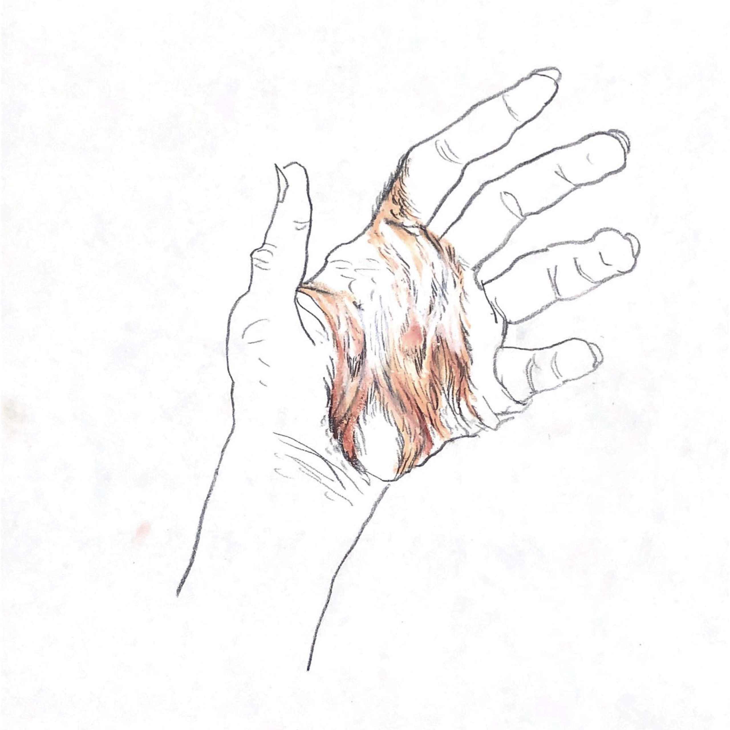 “The Empathic Trail” project, 2021. Ksenia Markelova, multidisciplinary artist, Yekaterinburg