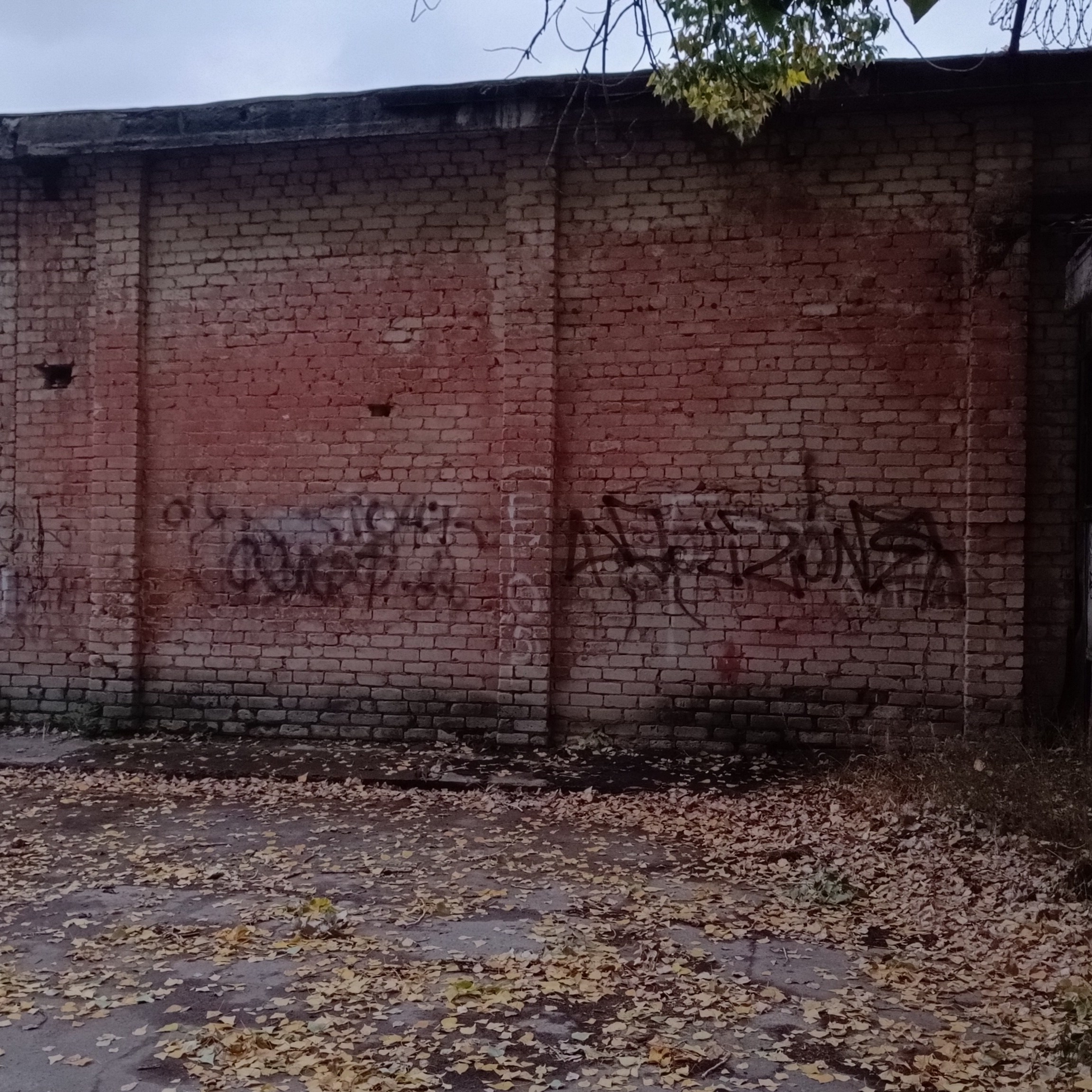 Фототерапия. Марина Рыбкина — Глубинная психология