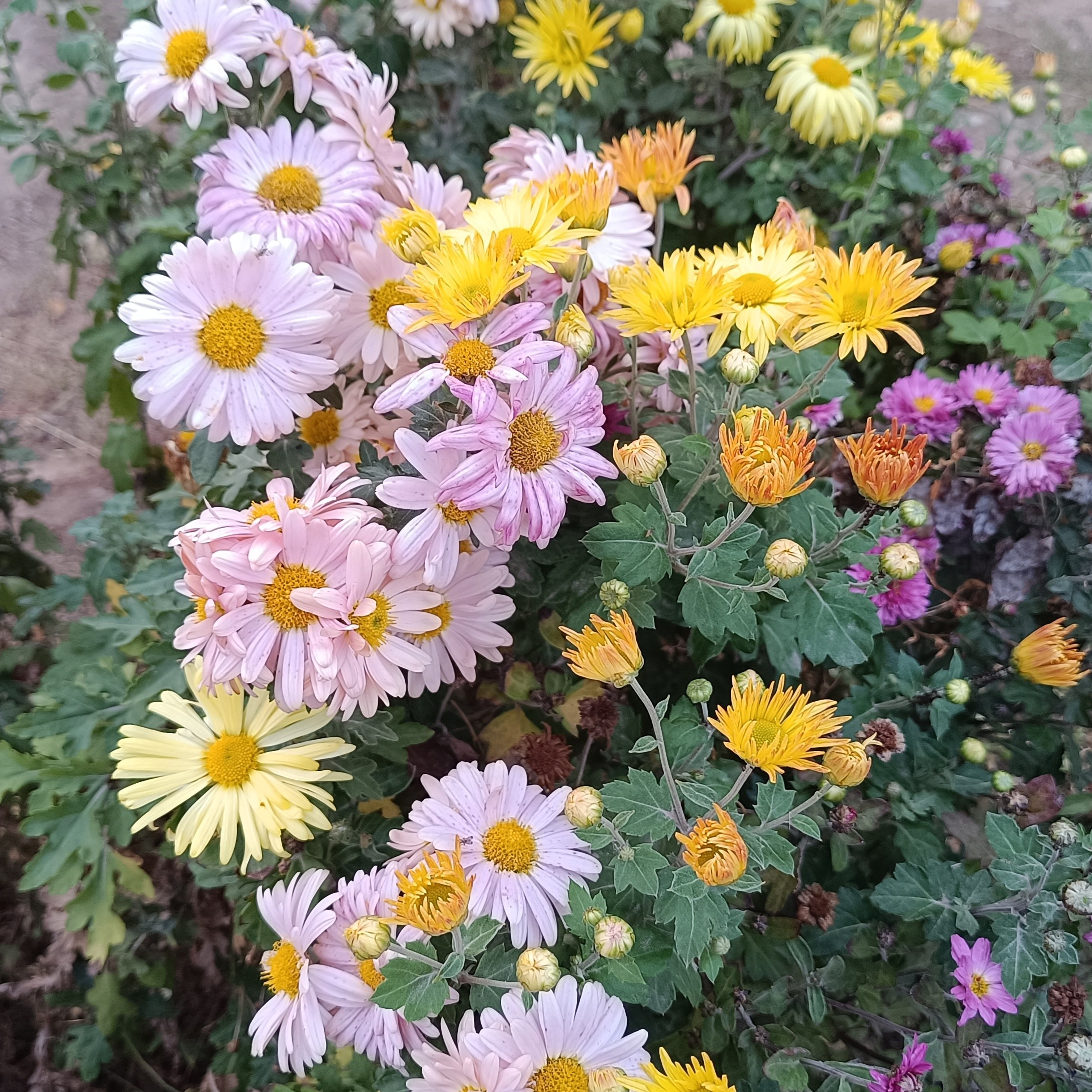 Фототерапия. Марина Рыбкина — Глубинная психология