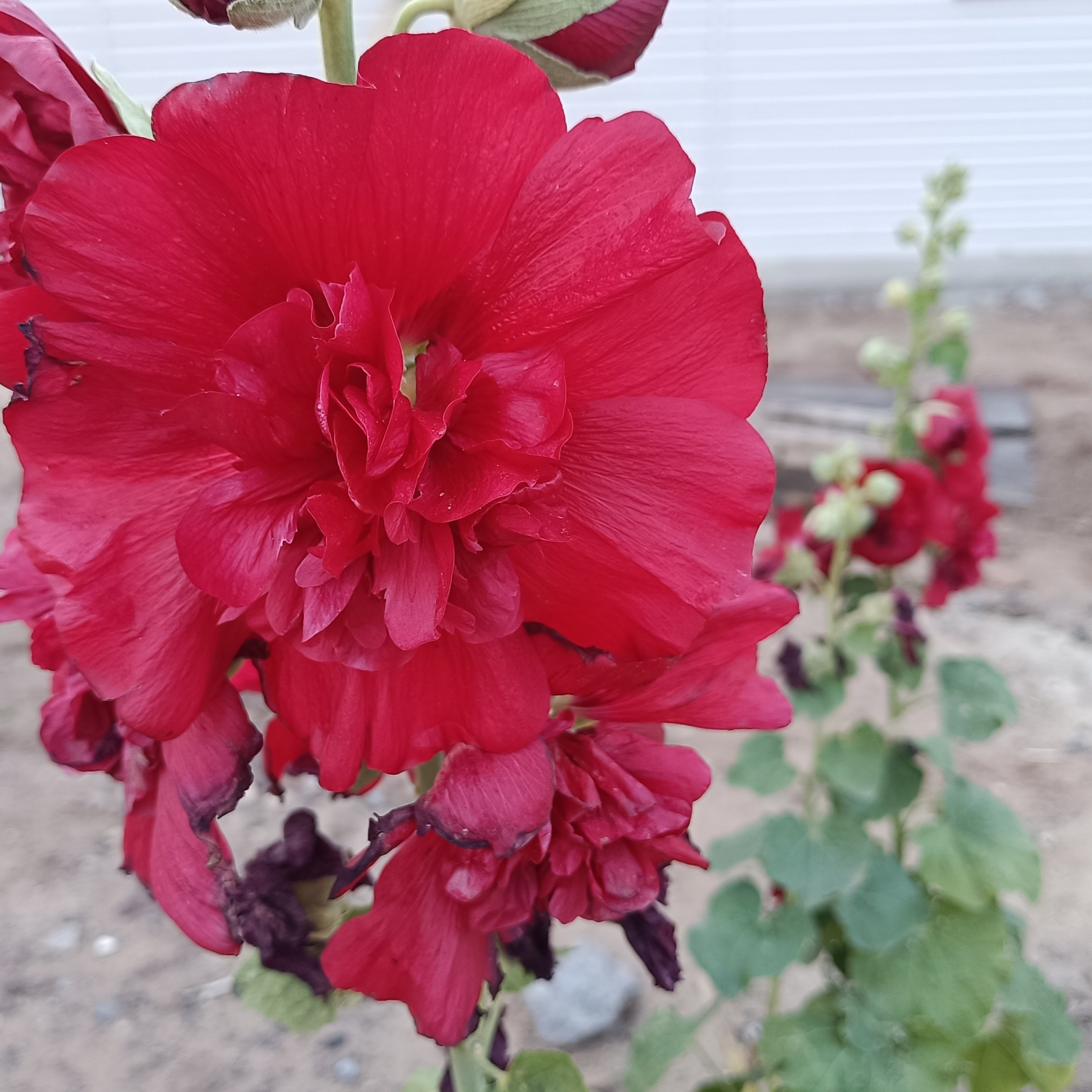 Фототерапия. Марина Рыбкина — Глубинная психология