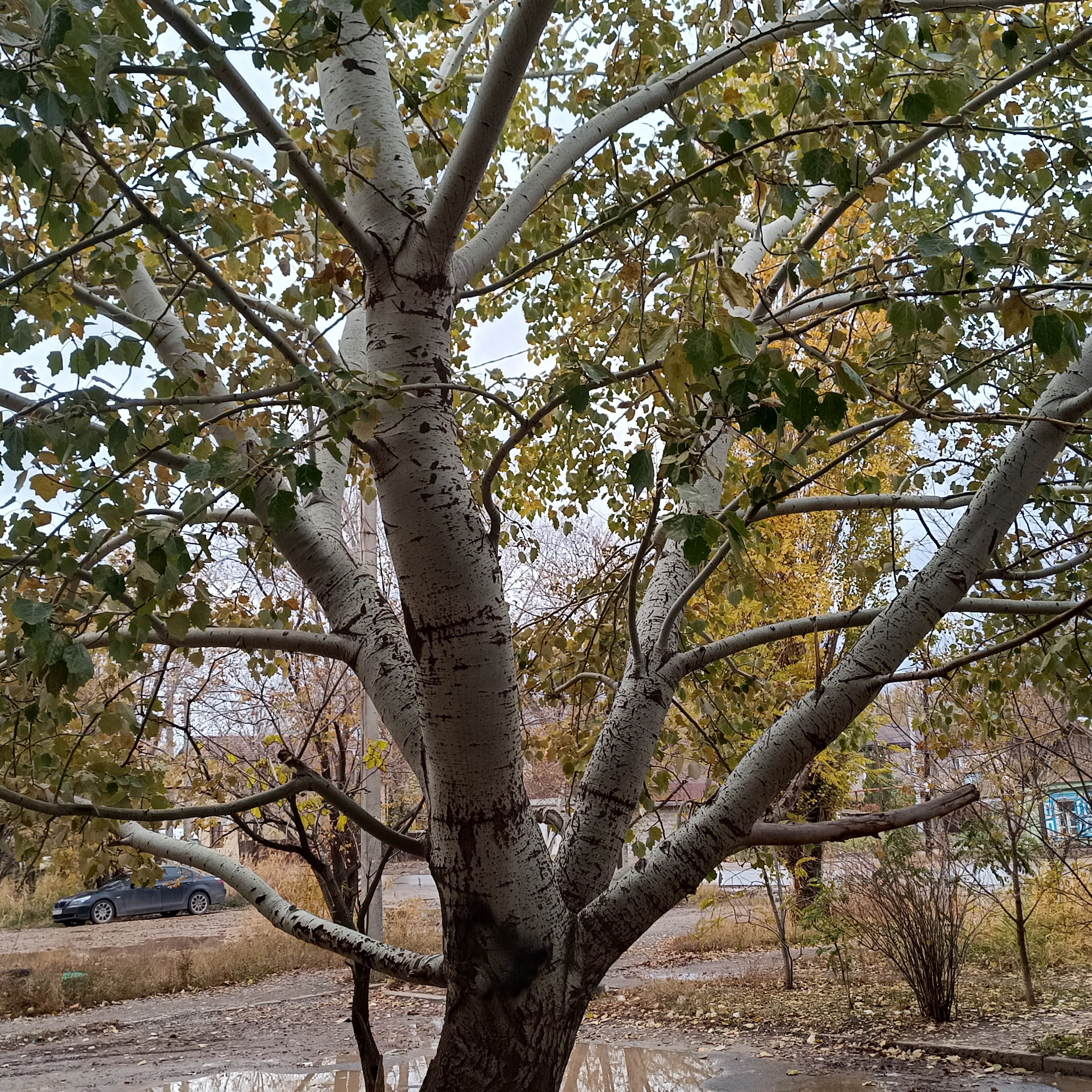 Фототерапия. Марина Рыбкина — Глубинная психология