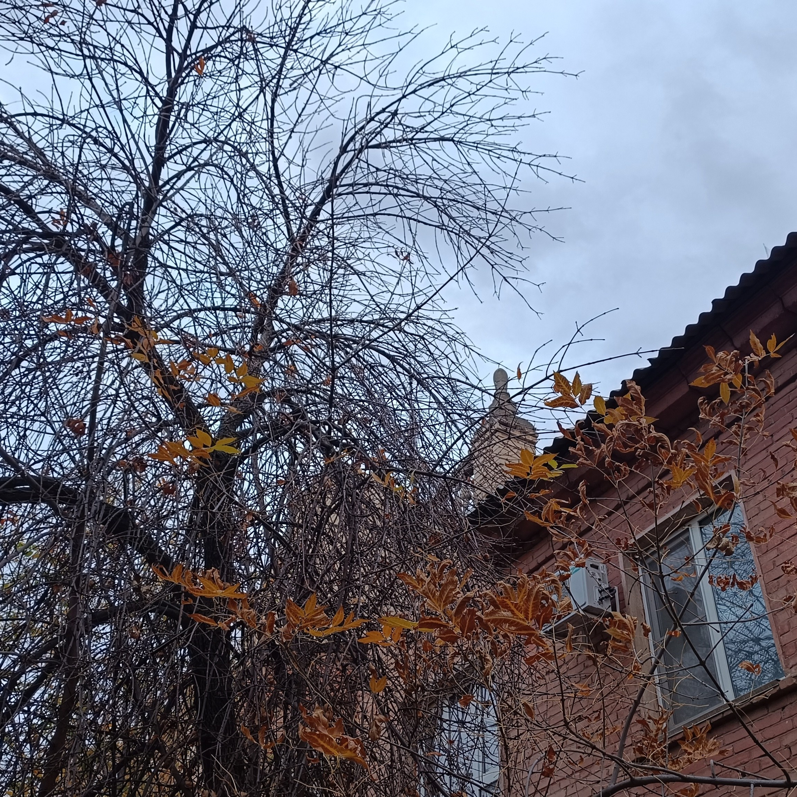 Фототерапия. Марина Рыбкина — Глубинная психология