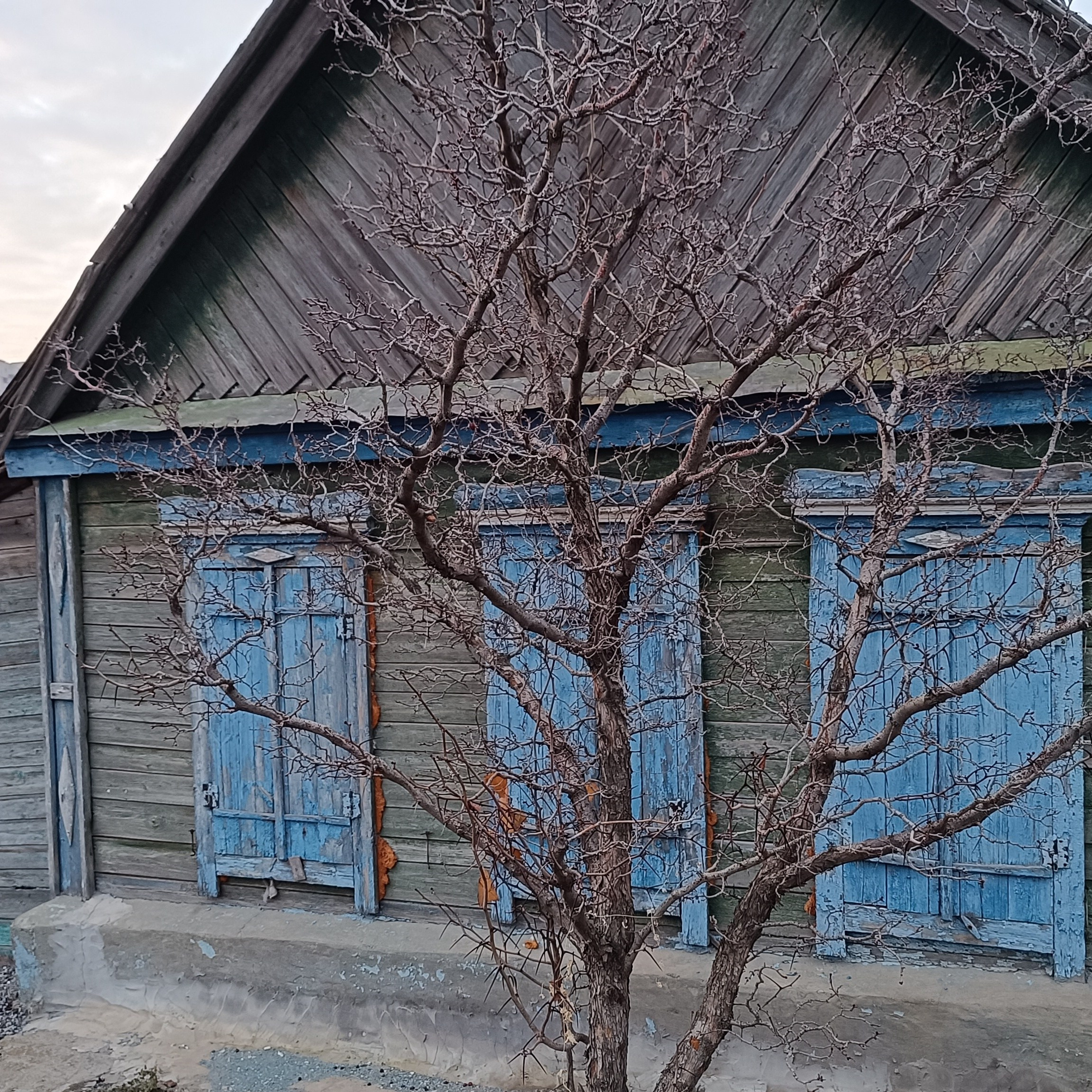 Фототерапия. Марина Рыбкина — Глубинная психология