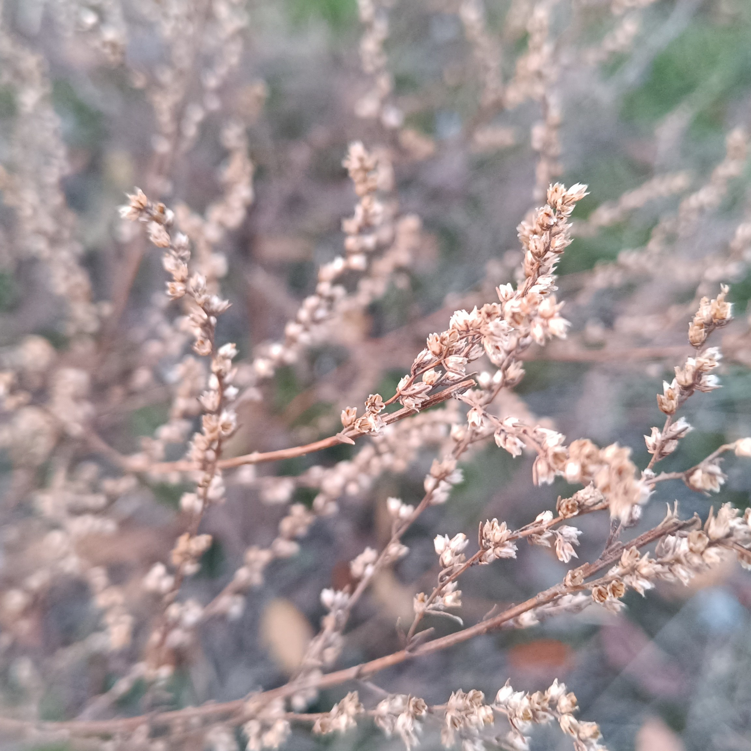 Фототерапия. Марина Рыбкина — Глубинная психология