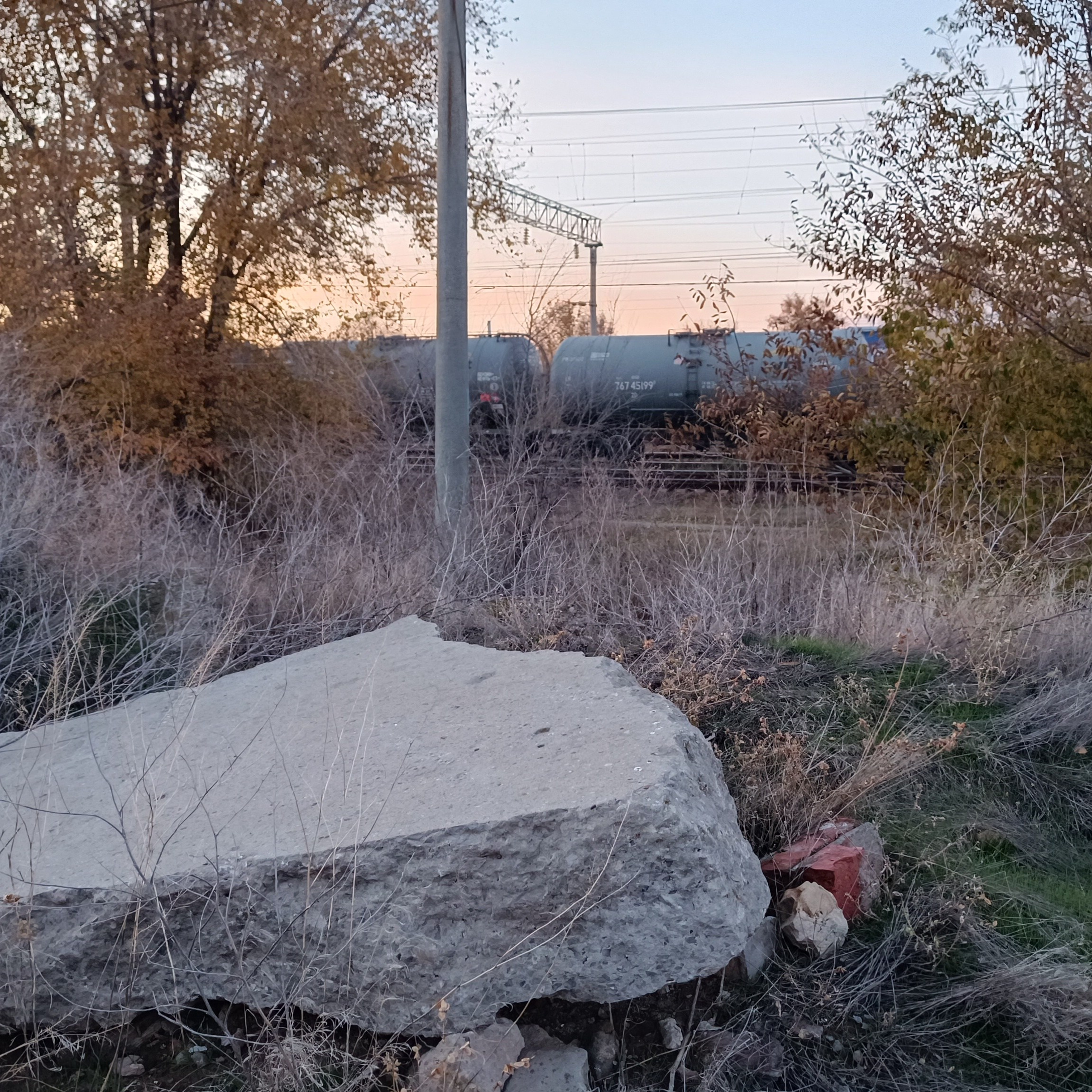 Фототерапия. Марина Рыбкина — Глубинная психология