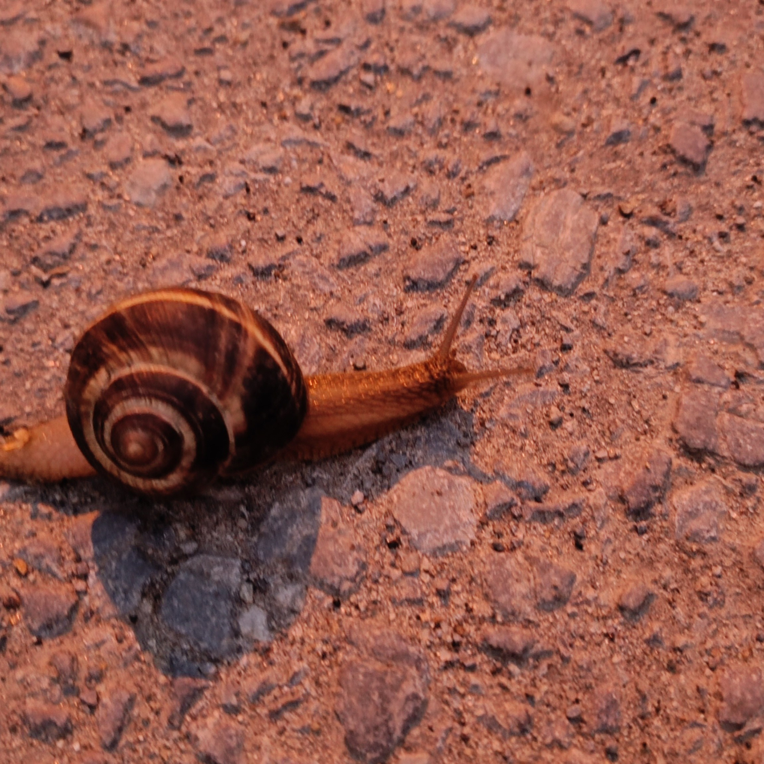 Фототерапия. Марина Рыбкина — Глубинная психология