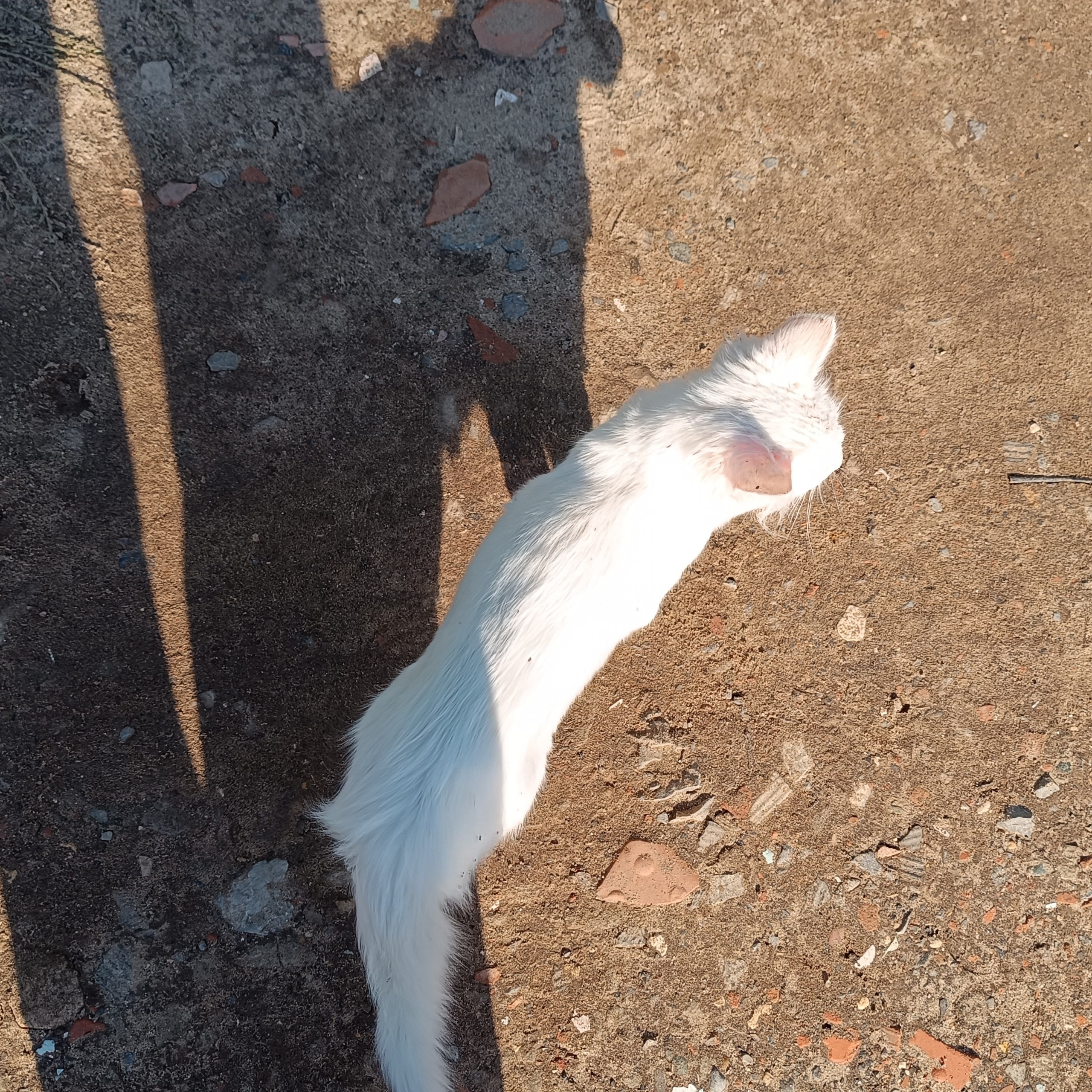 Фототерапия. Марина Рыбкина — Глубинная психология