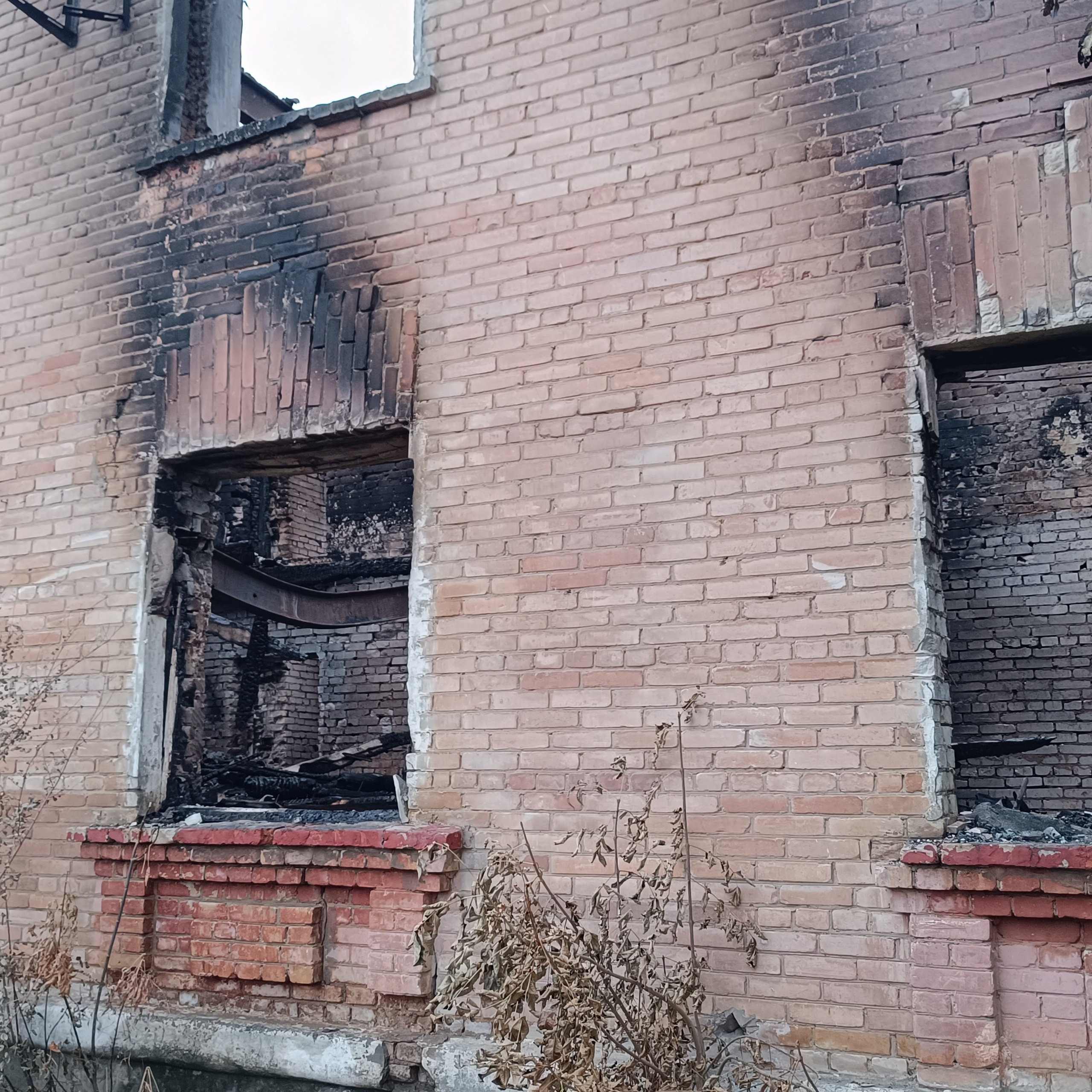 Фототерапия. Марина Рыбкина — Глубинная психология