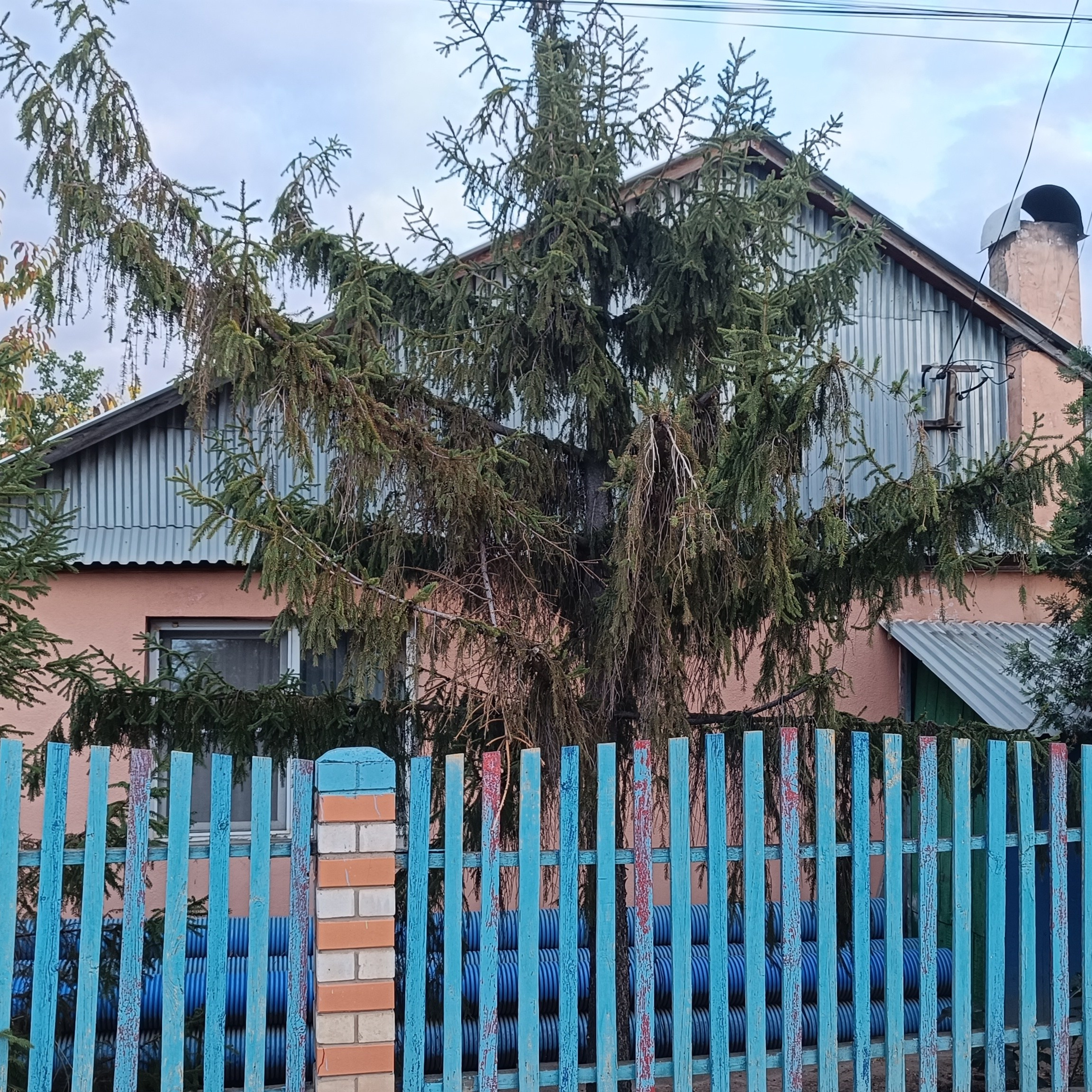 Фототерапия. Марина Рыбкина — Глубинная психология