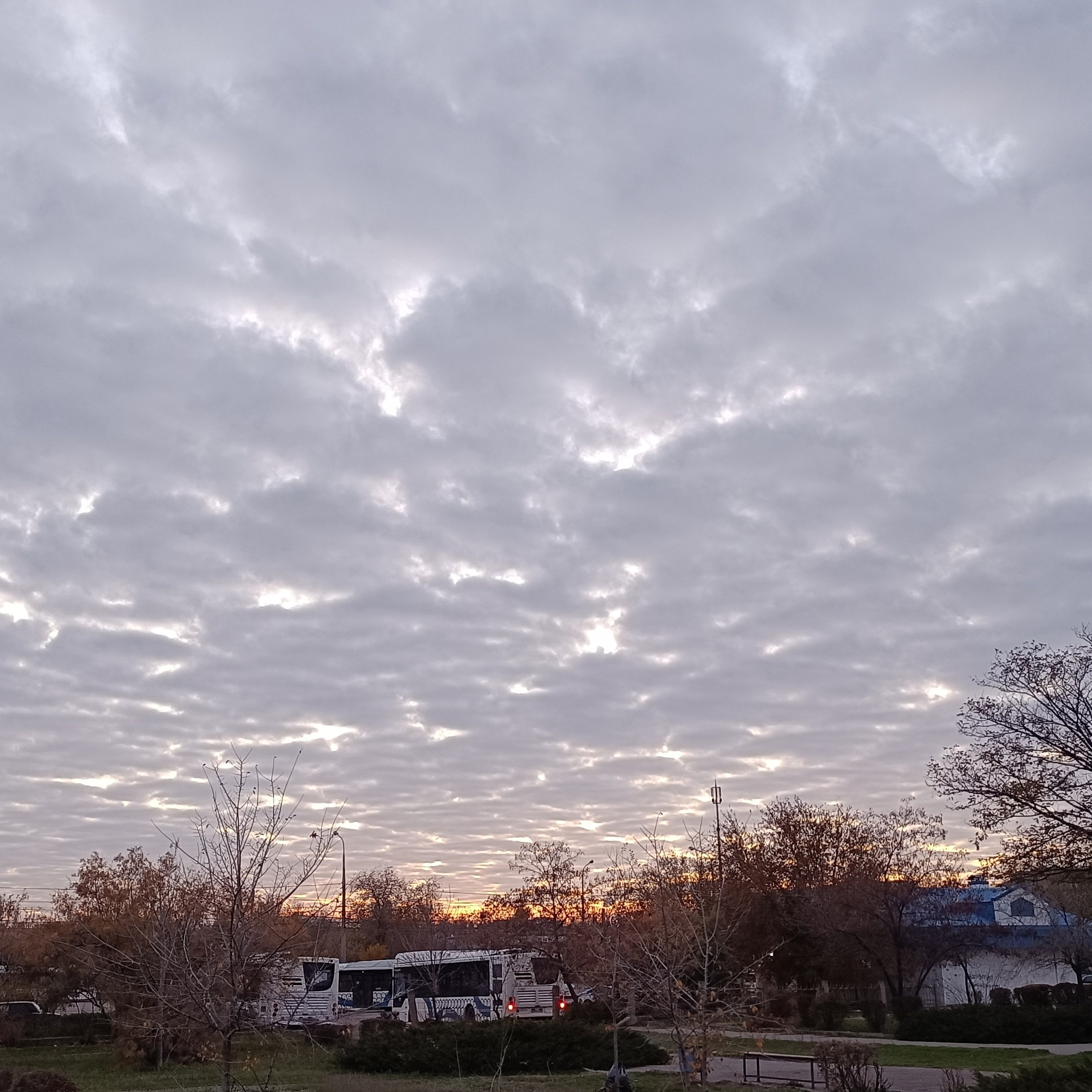 Фототерапия. Марина Рыбкина — Глубинная психология