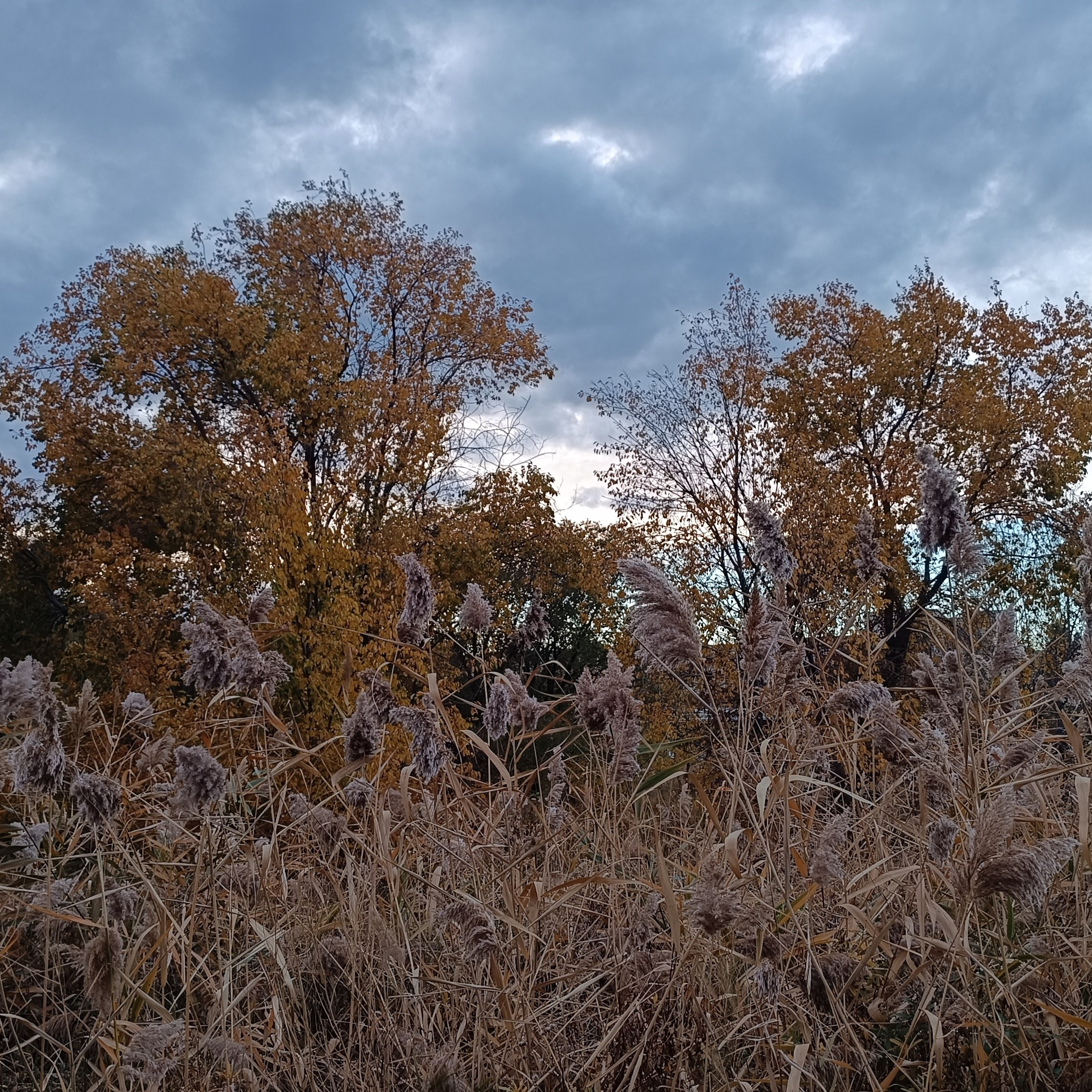 Фототерапия. Марина Рыбкина — Глубинная психология
