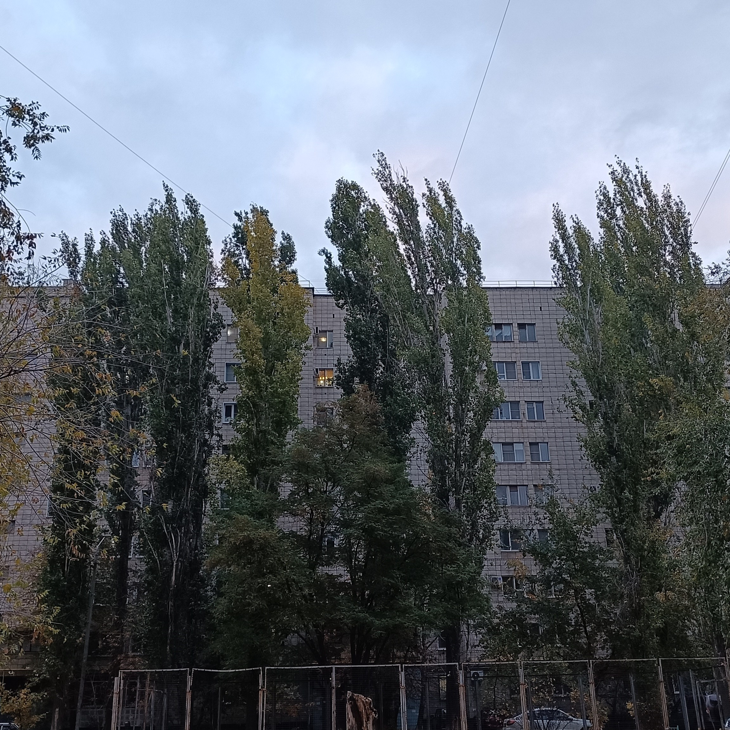 Фототерапия. Марина Рыбкина — Глубинная психология