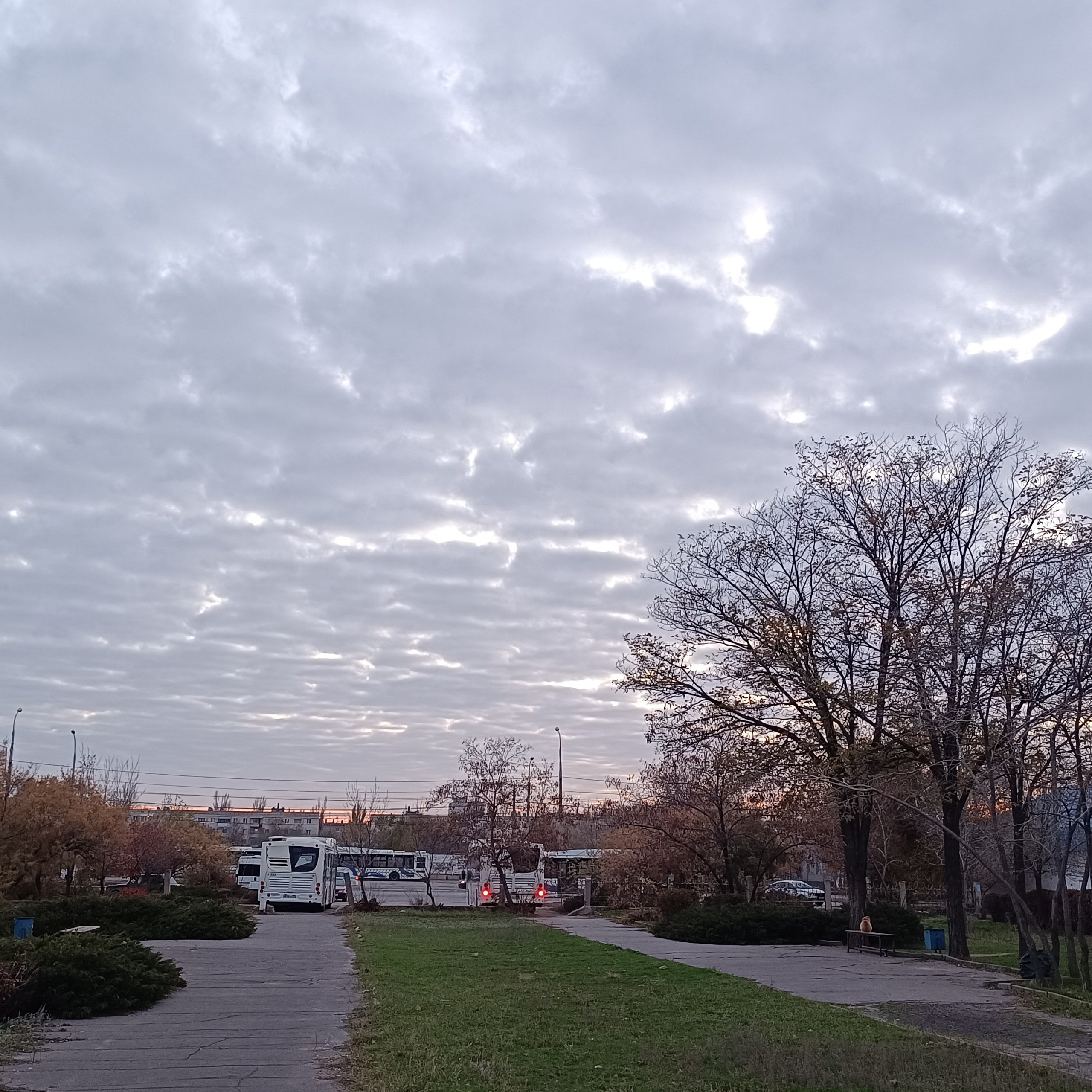 Фототерапия. Марина Рыбкина — Глубинная психология