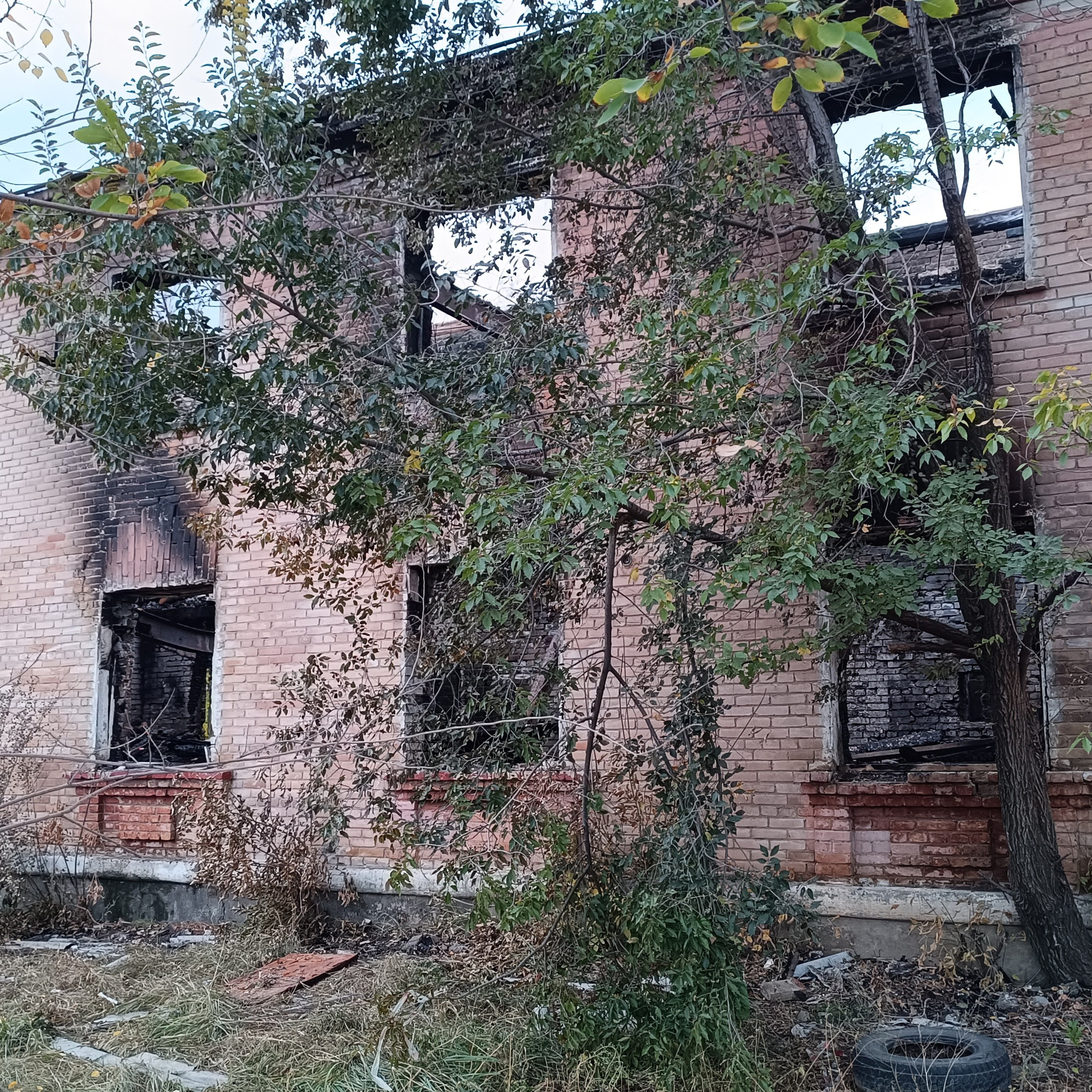 Фототерапия. Марина Рыбкина — Глубинная психология