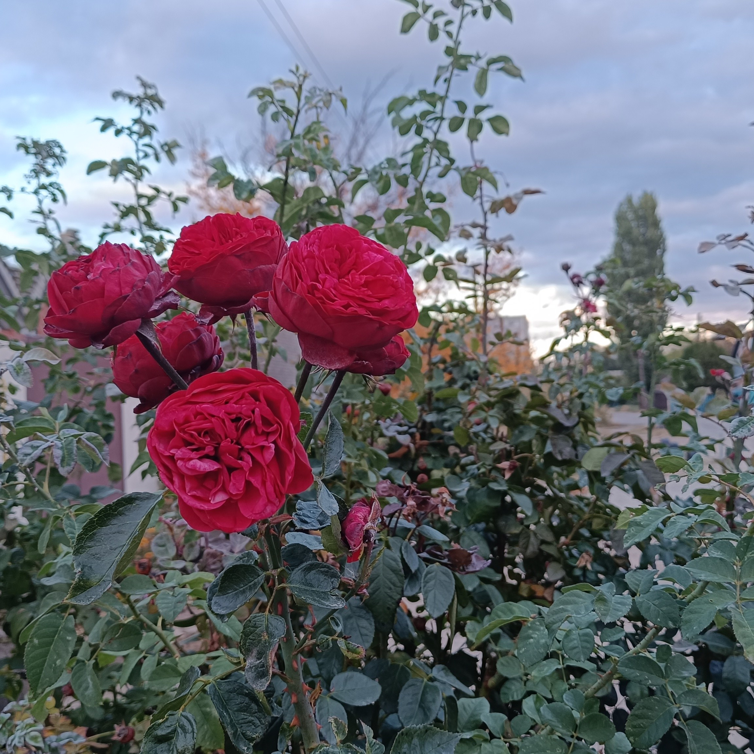 Фототерапия. Марина Рыбкина — Глубинная психология