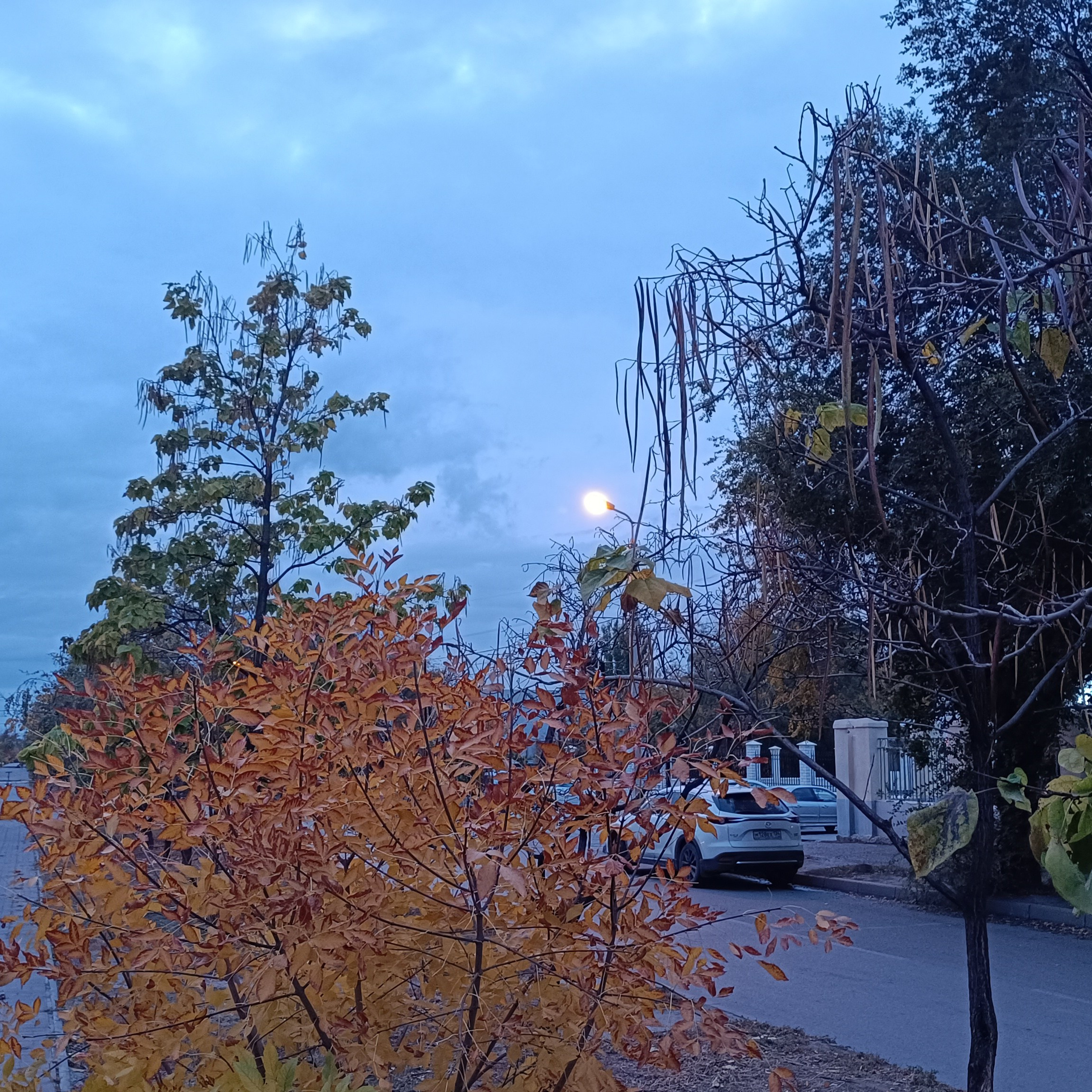 Фототерапия. Марина Рыбкина — Глубинная психология