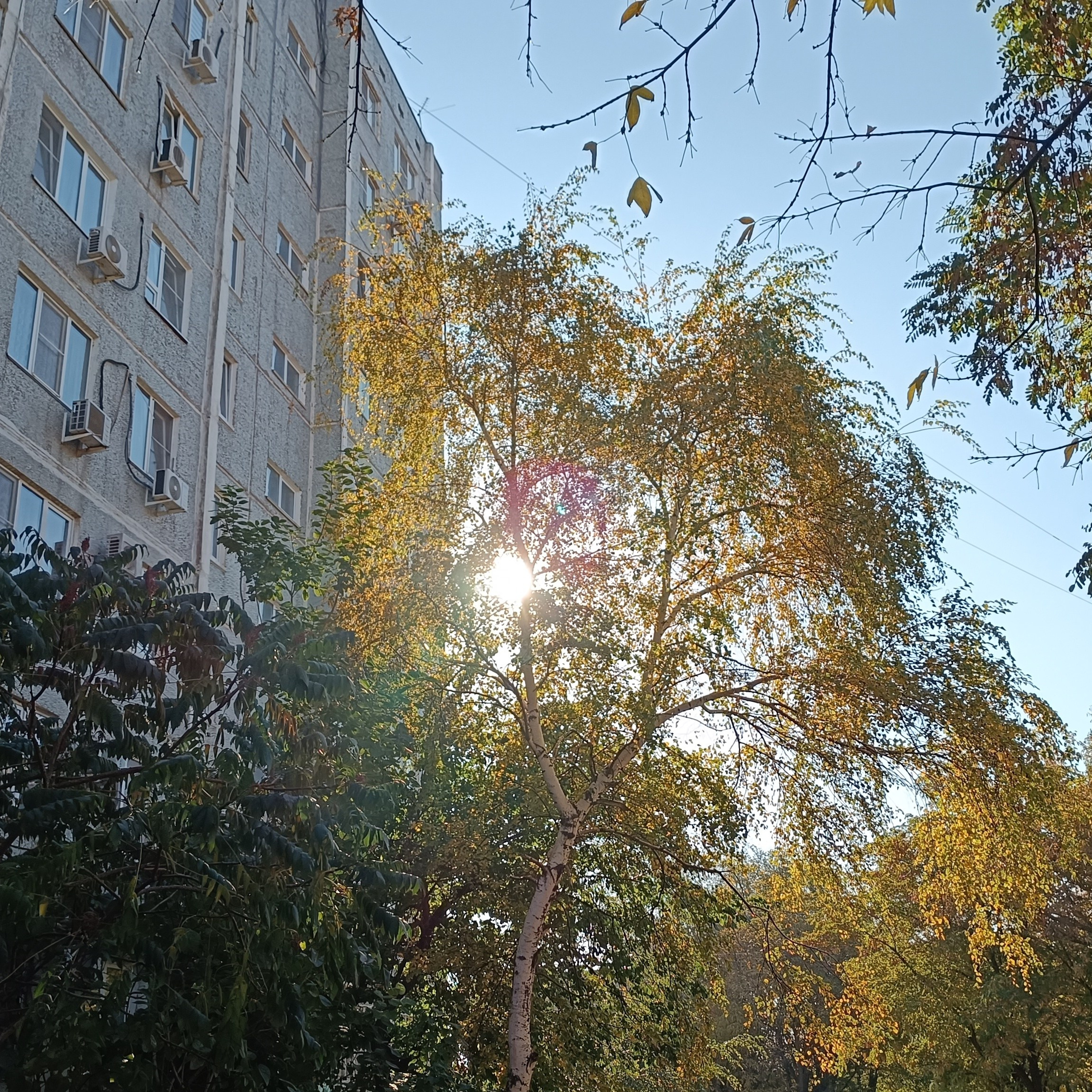 Фототерапия. Марина Рыбкина — Глубинная психология