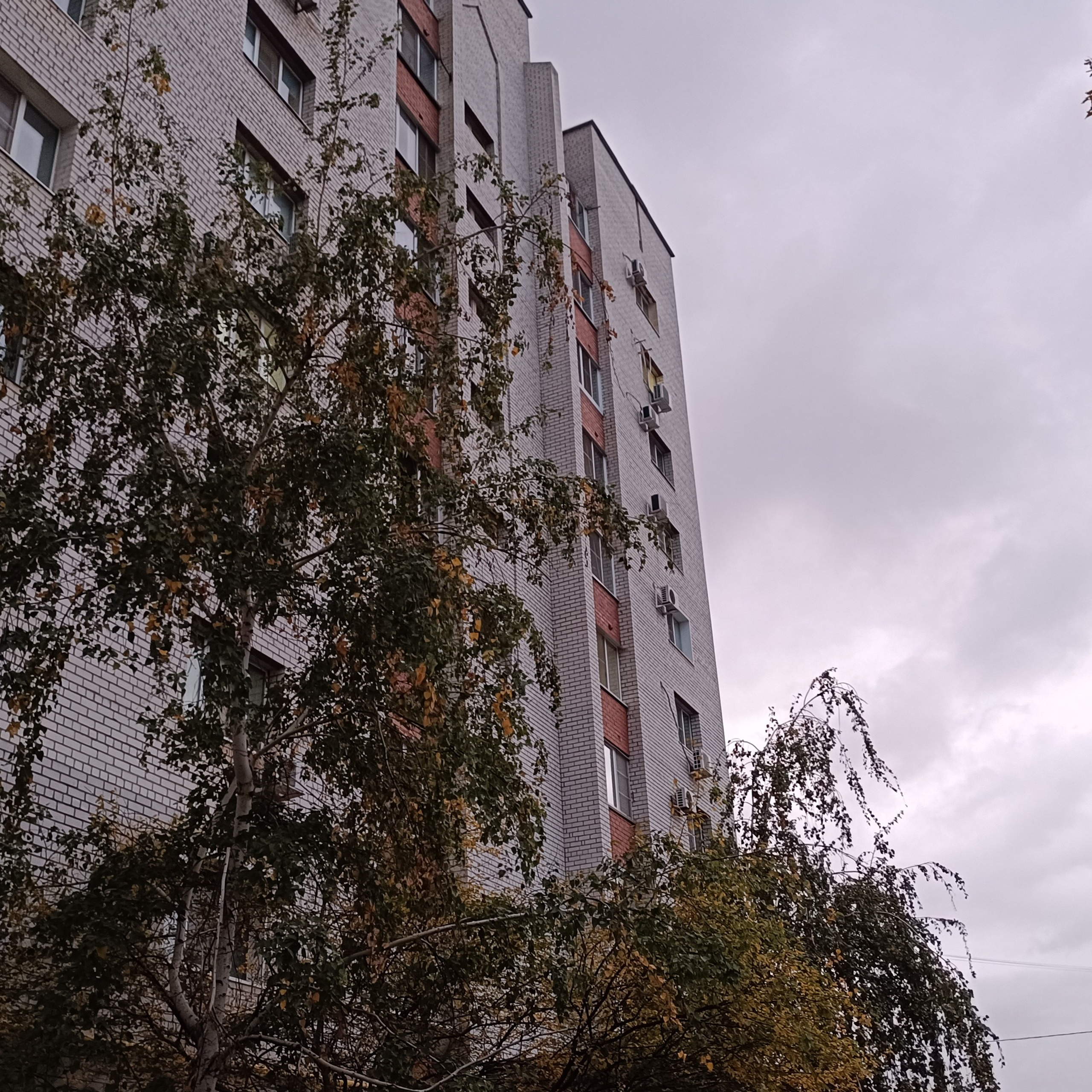 Фототерапия. Марина Рыбкина — Глубинная психология