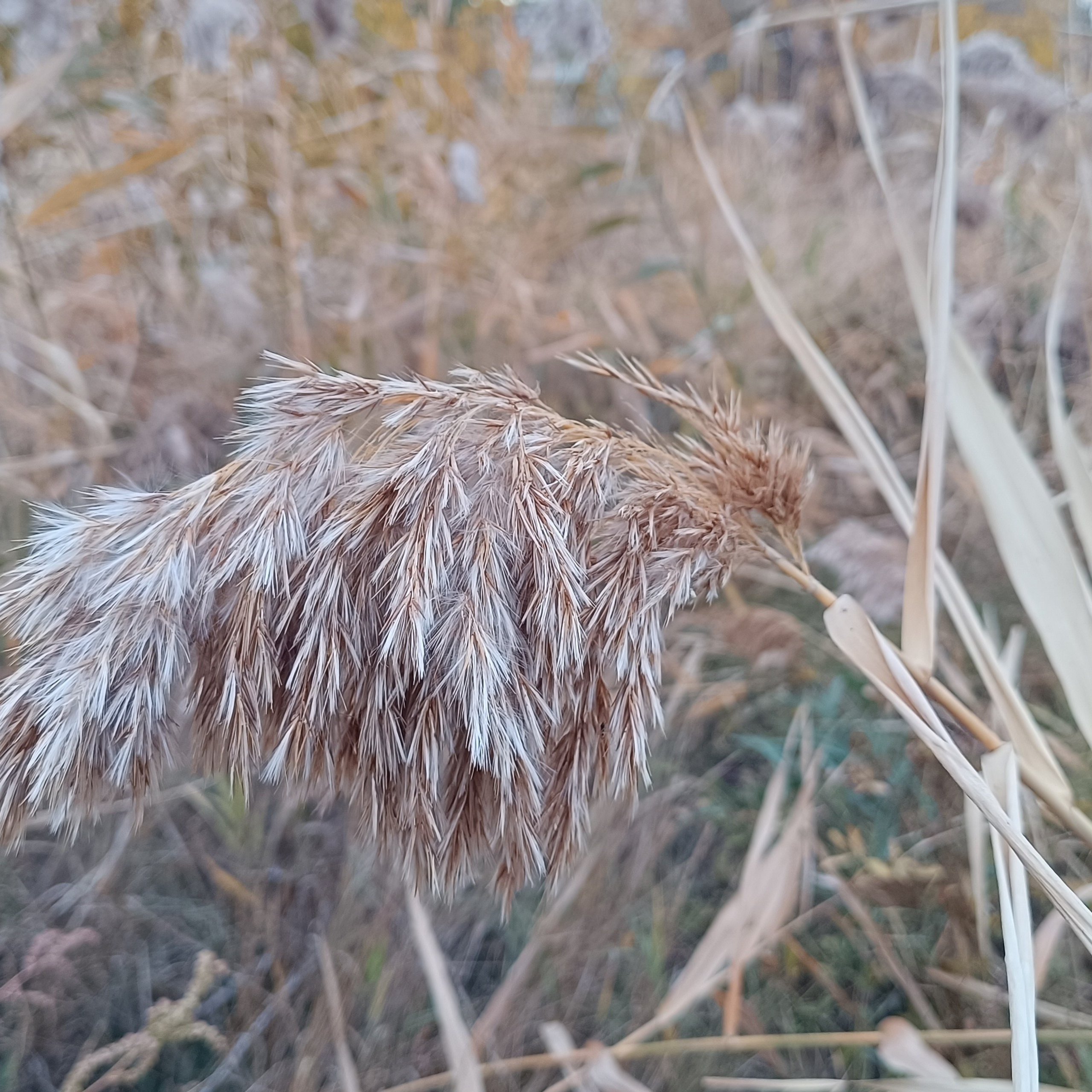 Фототерапия. Марина Рыбкина — Глубинная психология
