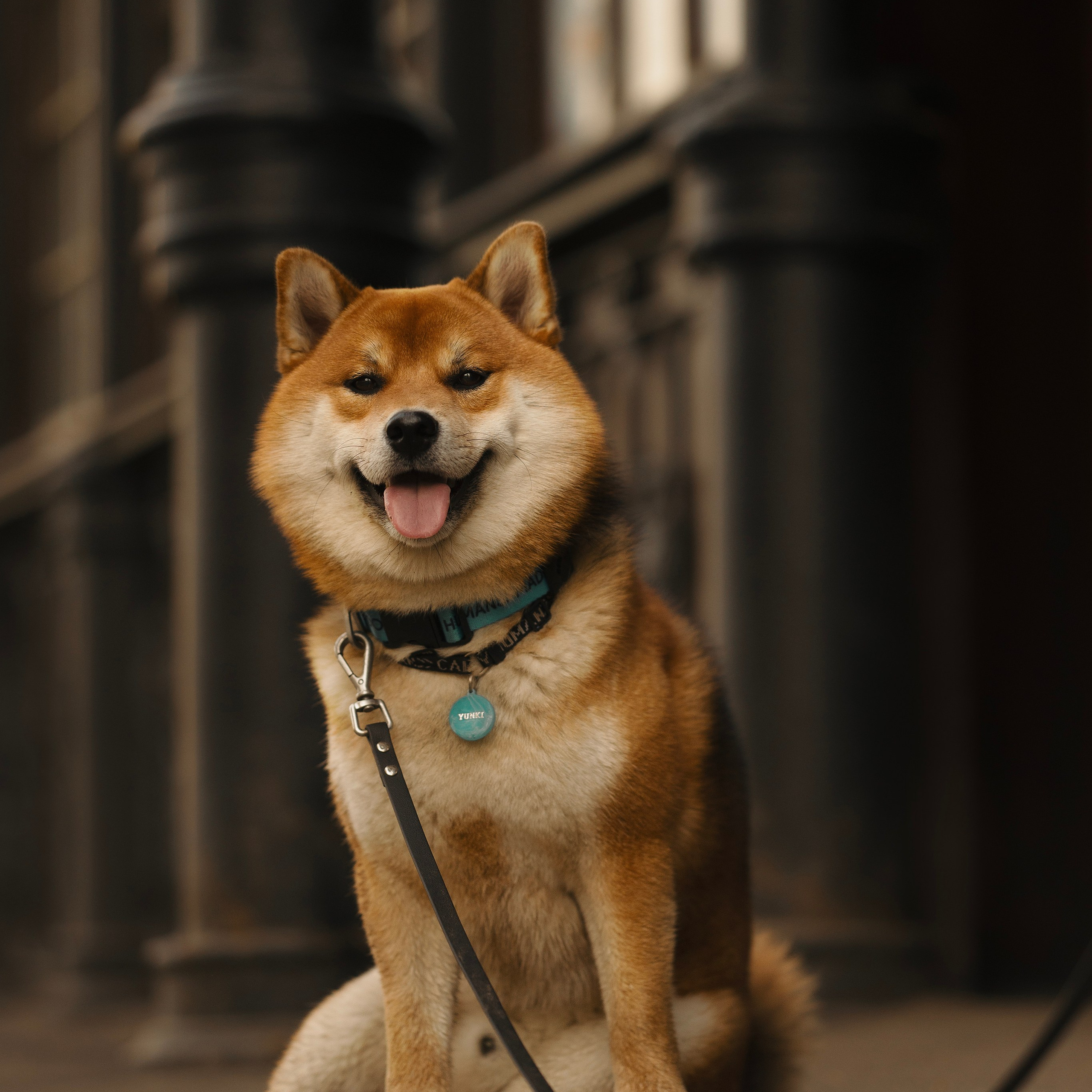 Юнки