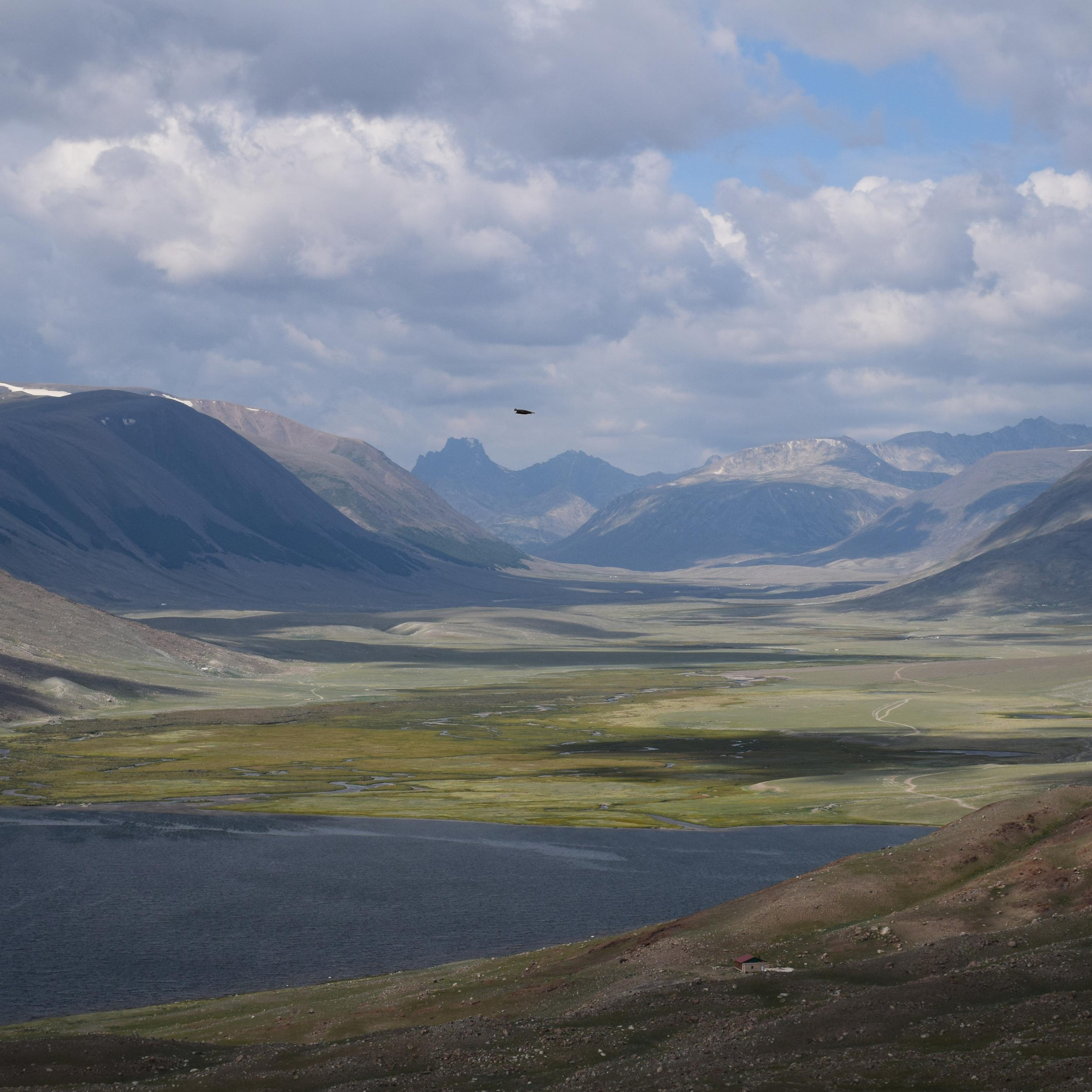 Алтай, любовь с первого взгляда!
