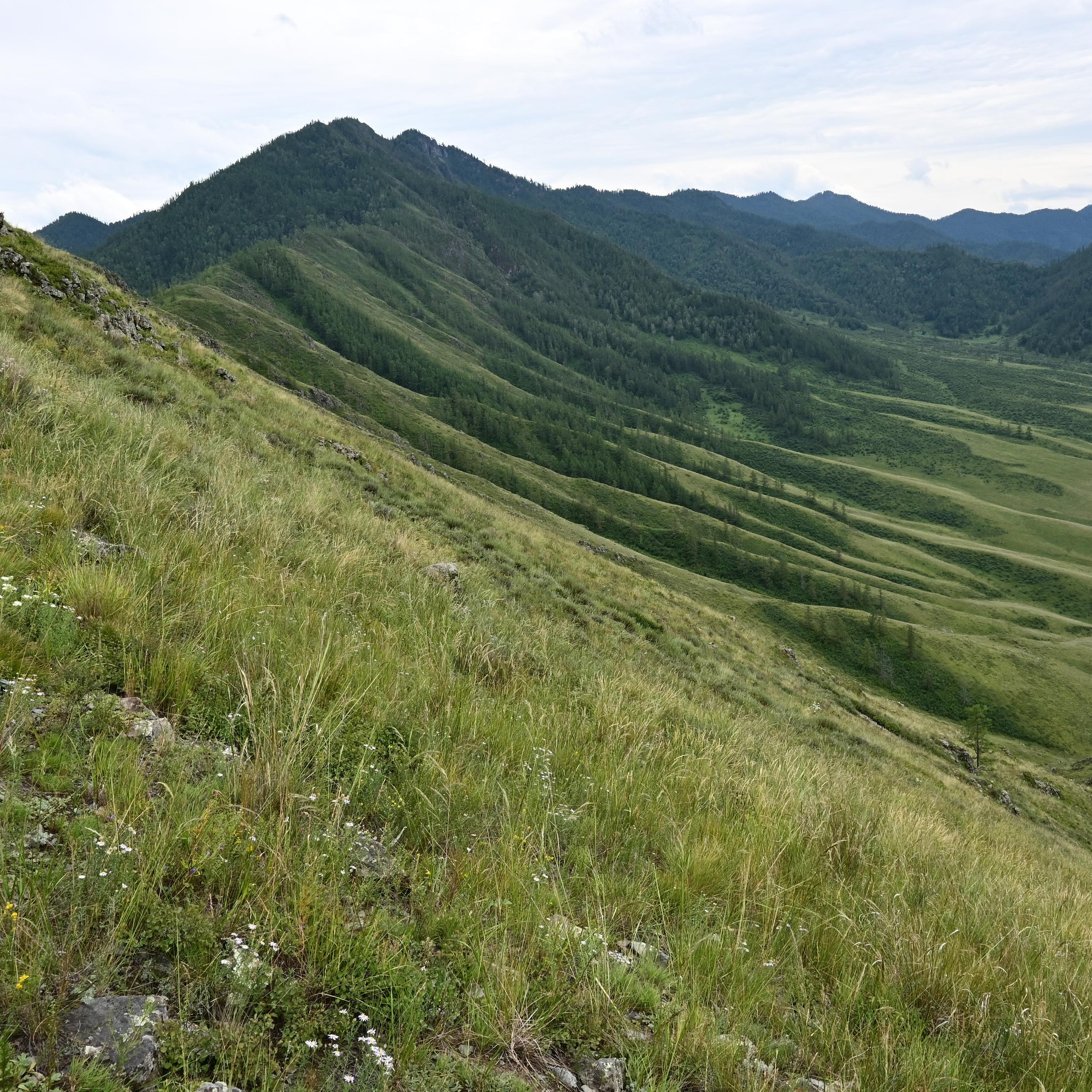 Услуги. Фотограф в Сузуне — Зоя Попова (Собственная фотостудия)