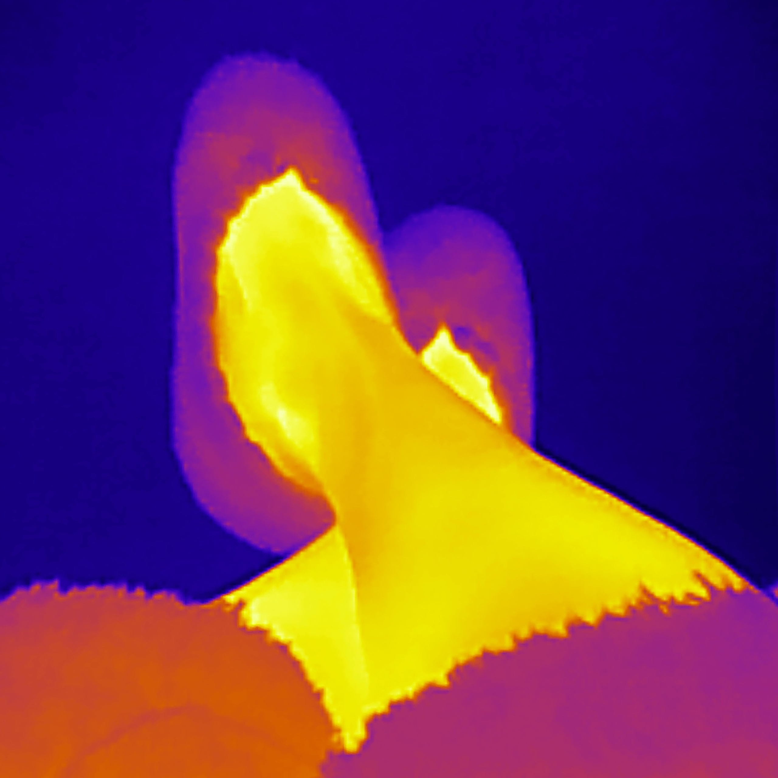 Если б я была удавом / If I were a boa constrictor