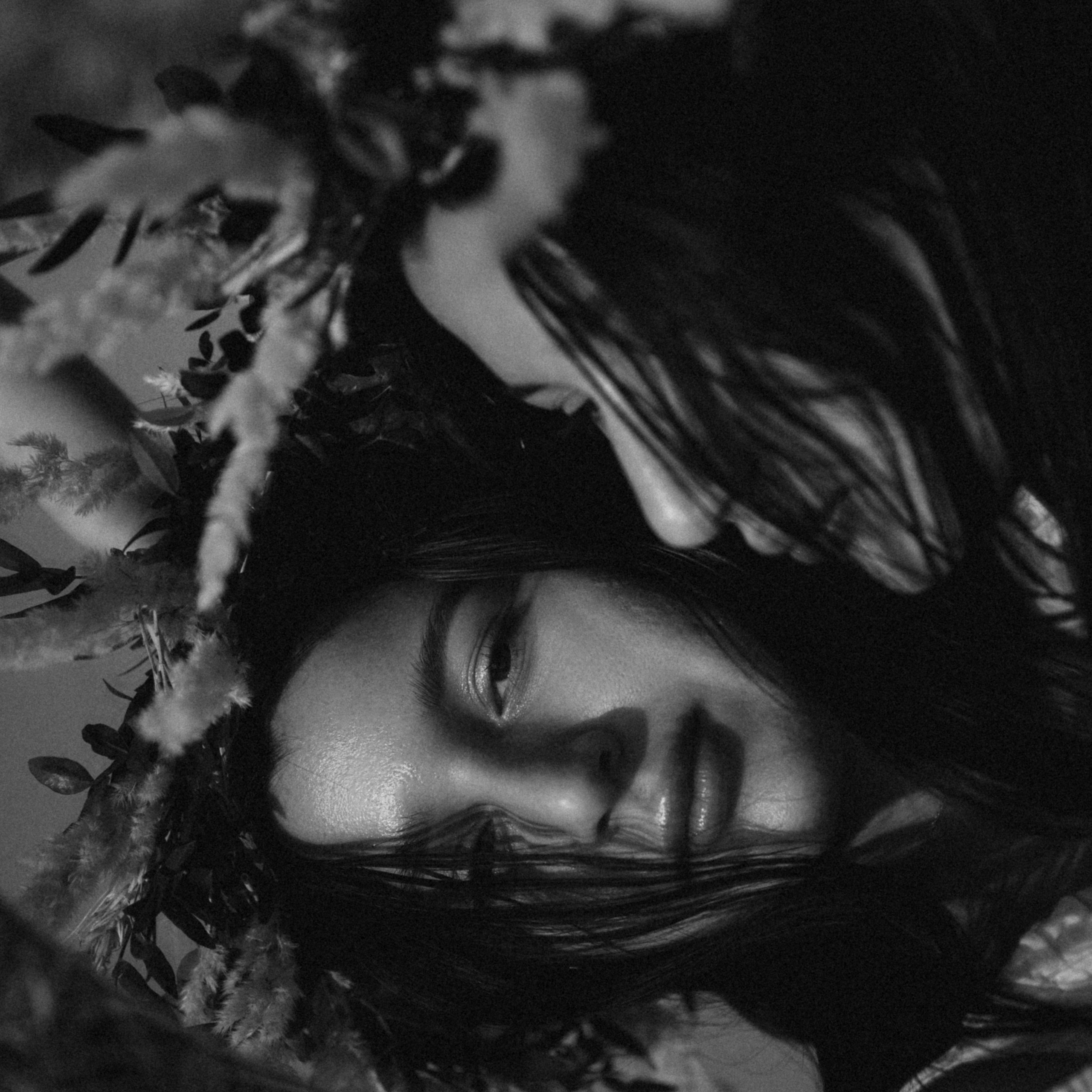 Полевая история