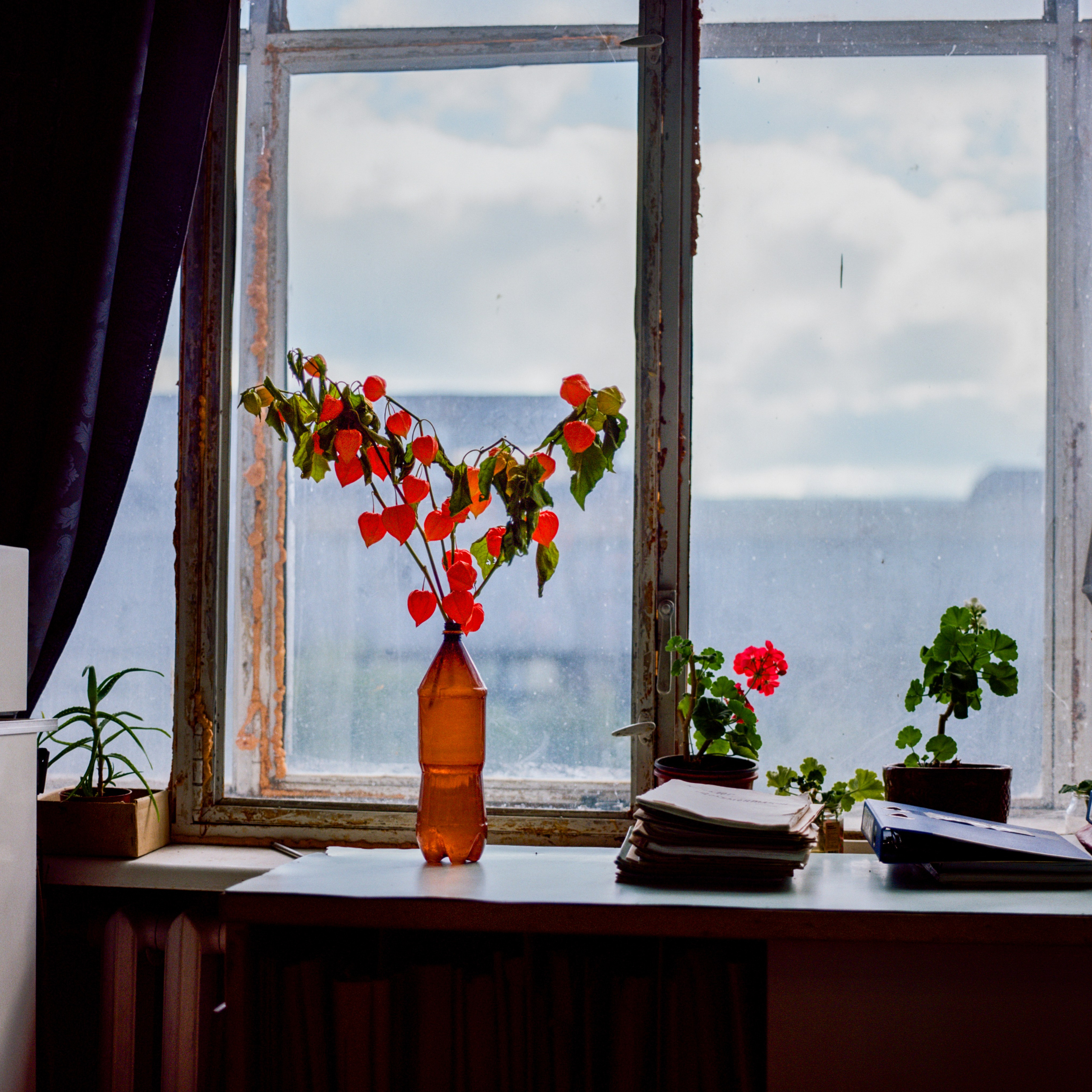 Русский проспект. Not an artist, but photographer. Ivan birdman