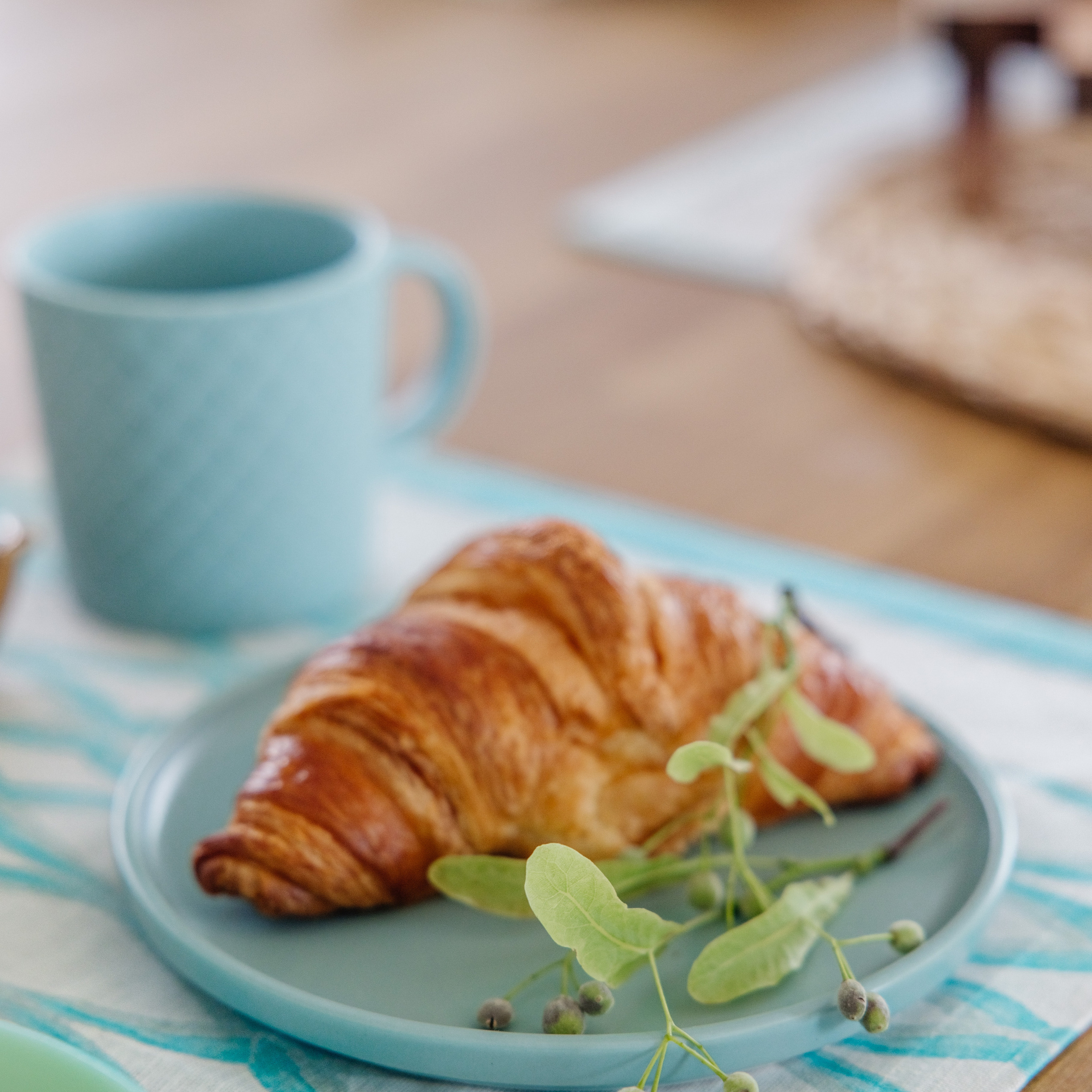 Студия экологичного контента